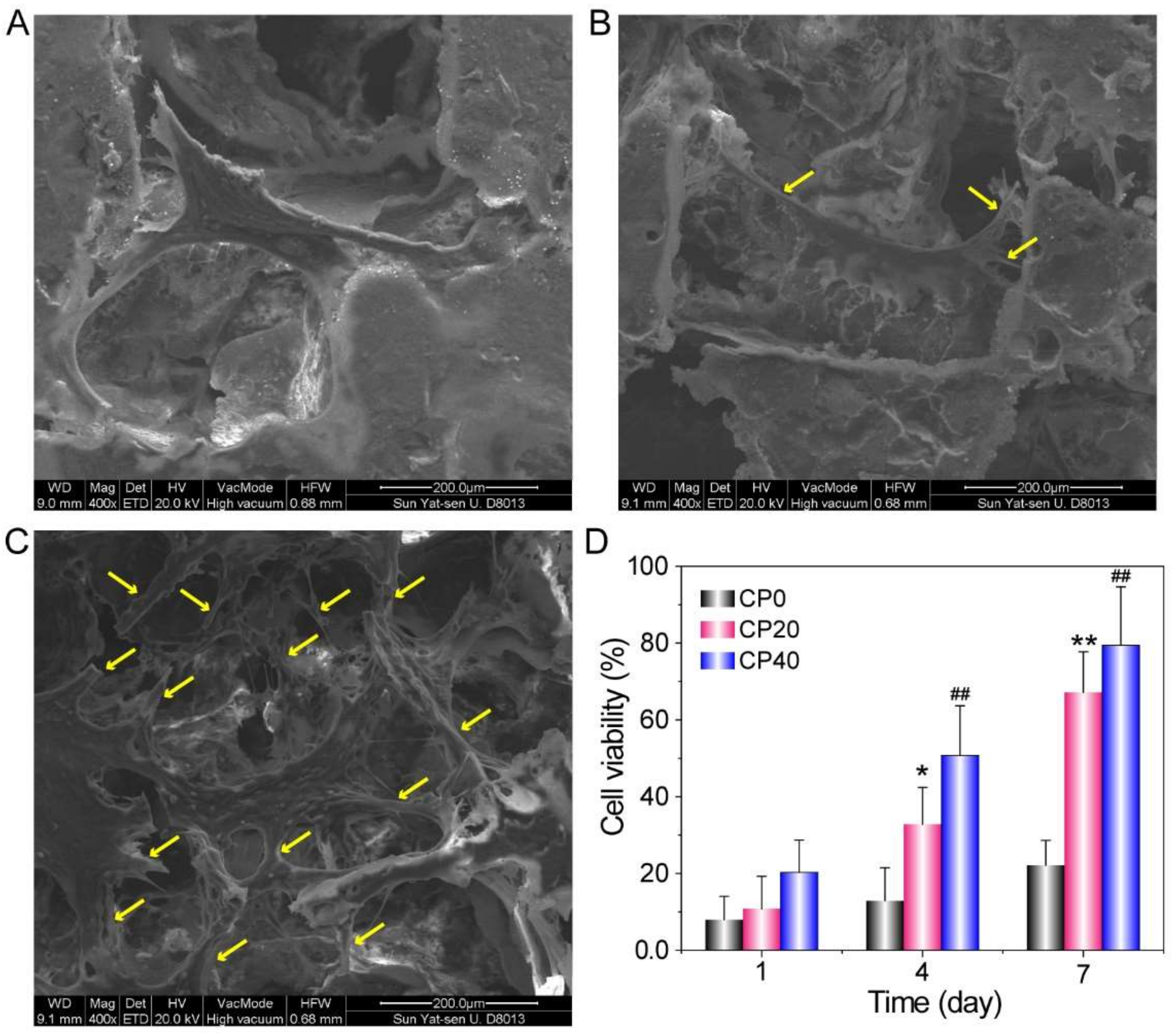 Materials 15 04410 g006 550