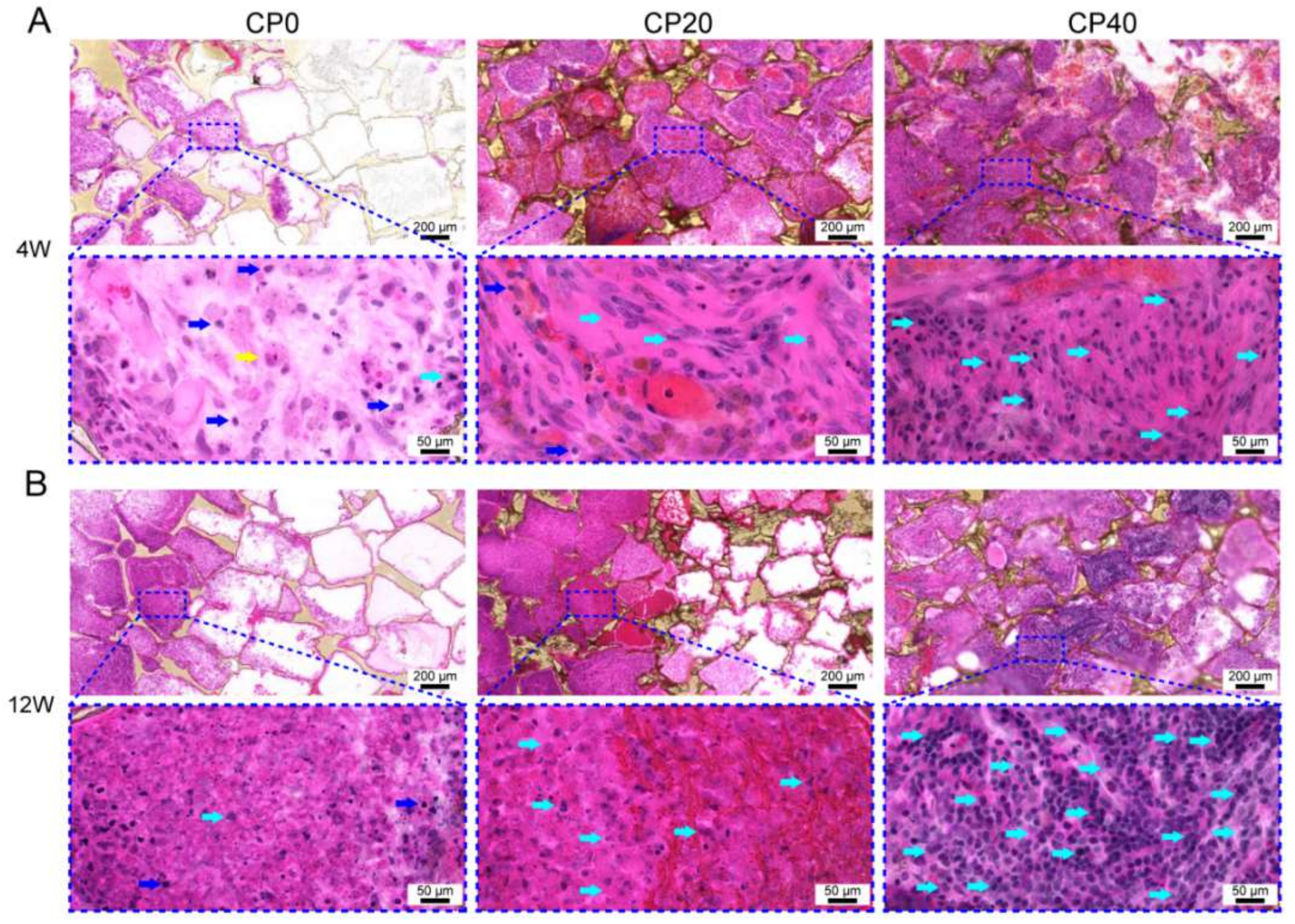 Materials 15 04410 g008 550