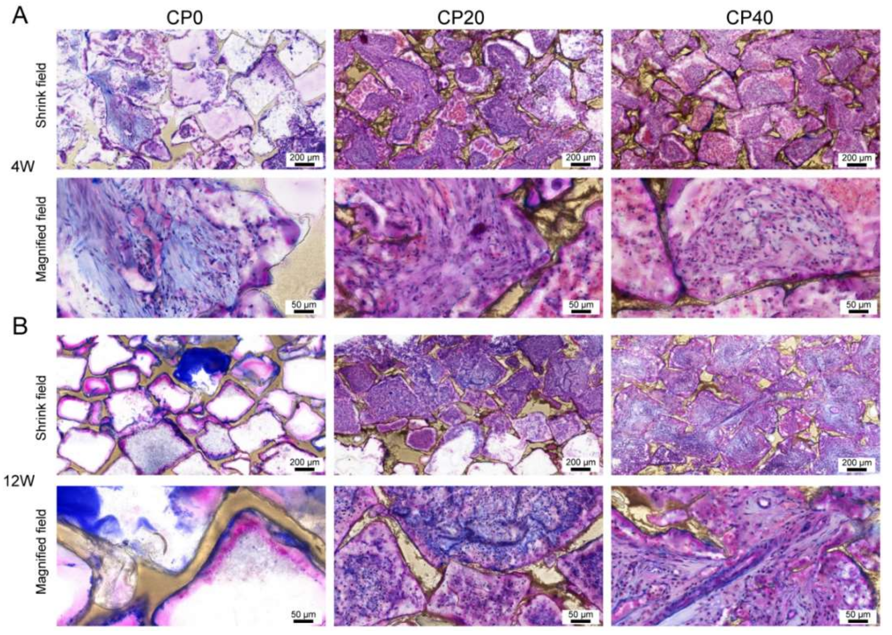 Materials 15 04410 g009 550