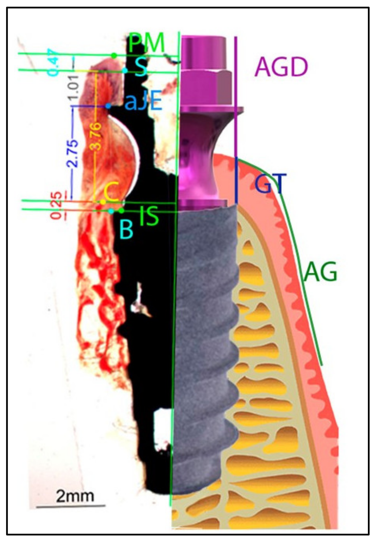 Materials 15 04422 g003