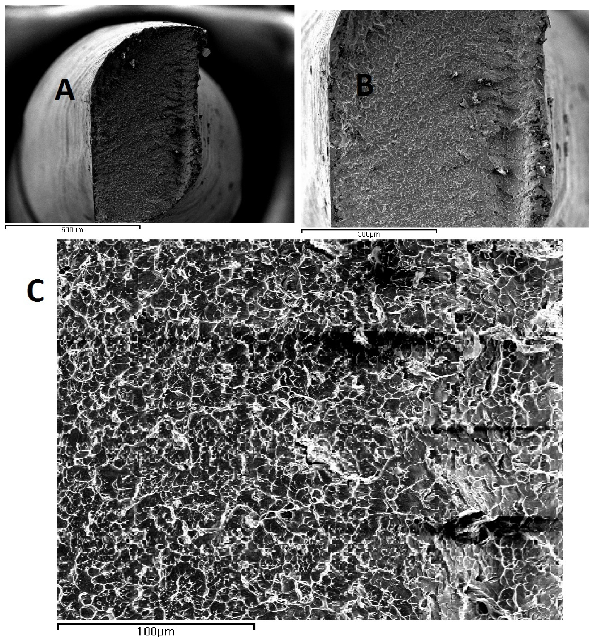 Materials 15 04443 g005