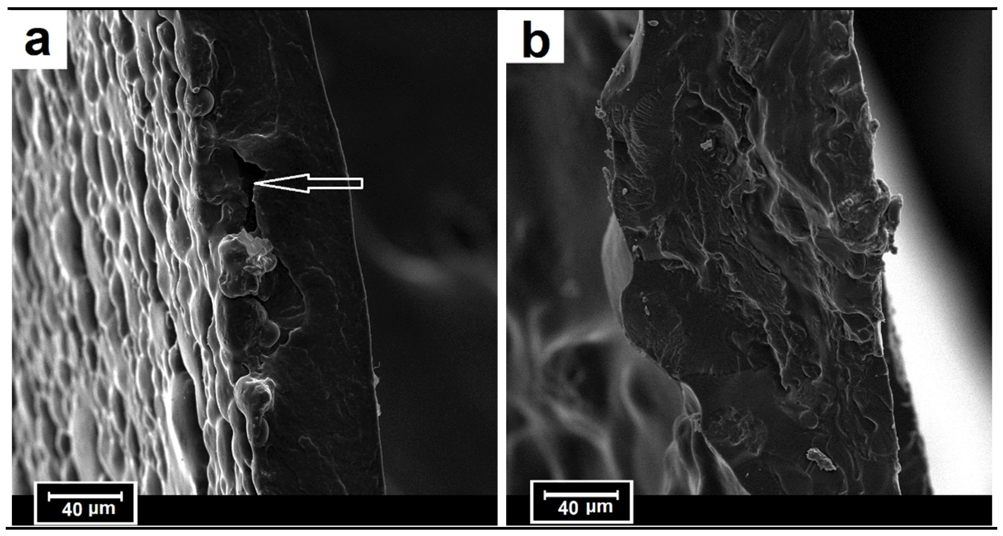 Materials 15 04459 g009