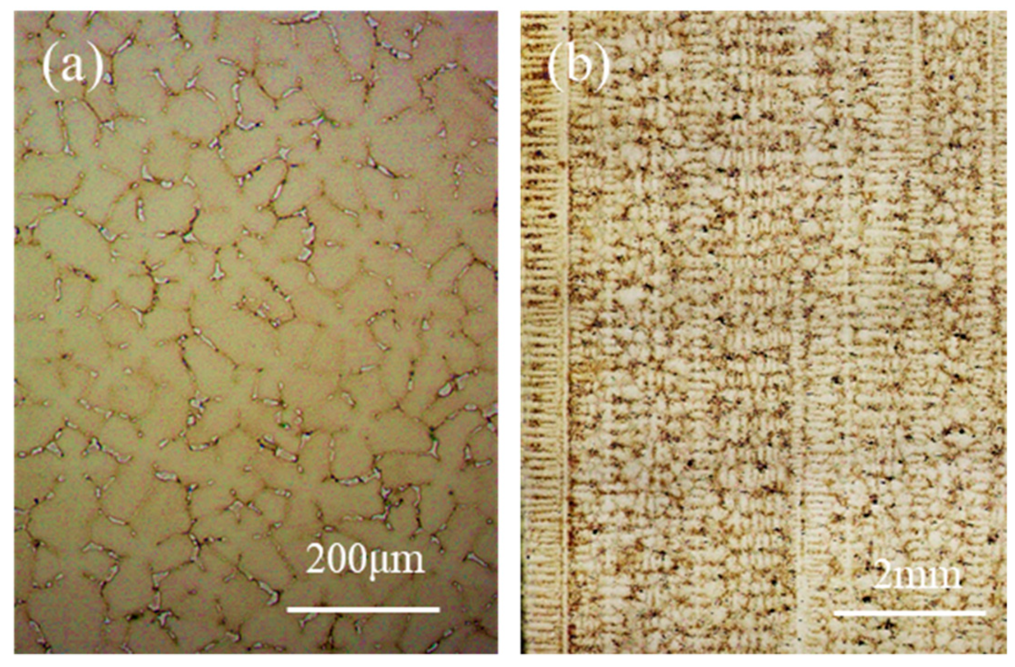 Materials 15 04463 g002 550