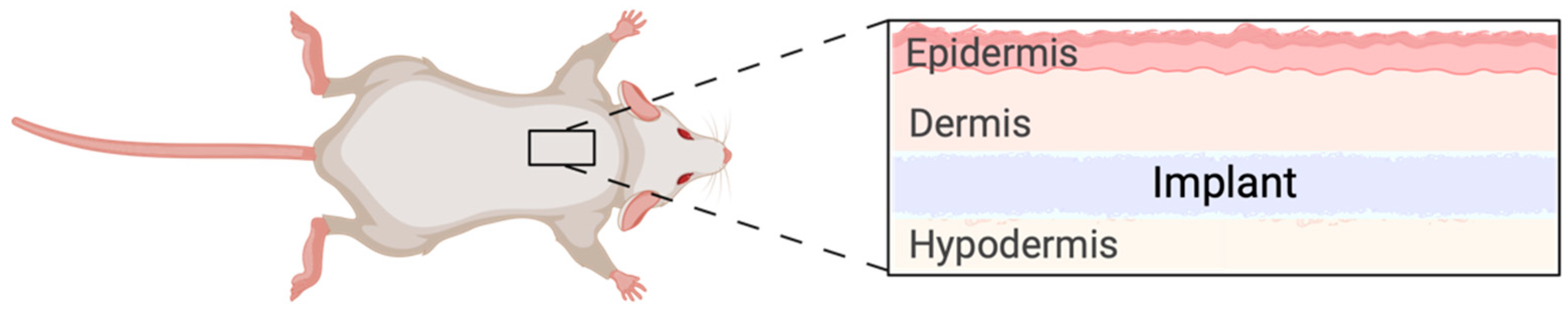 Materials 15 04468 g001