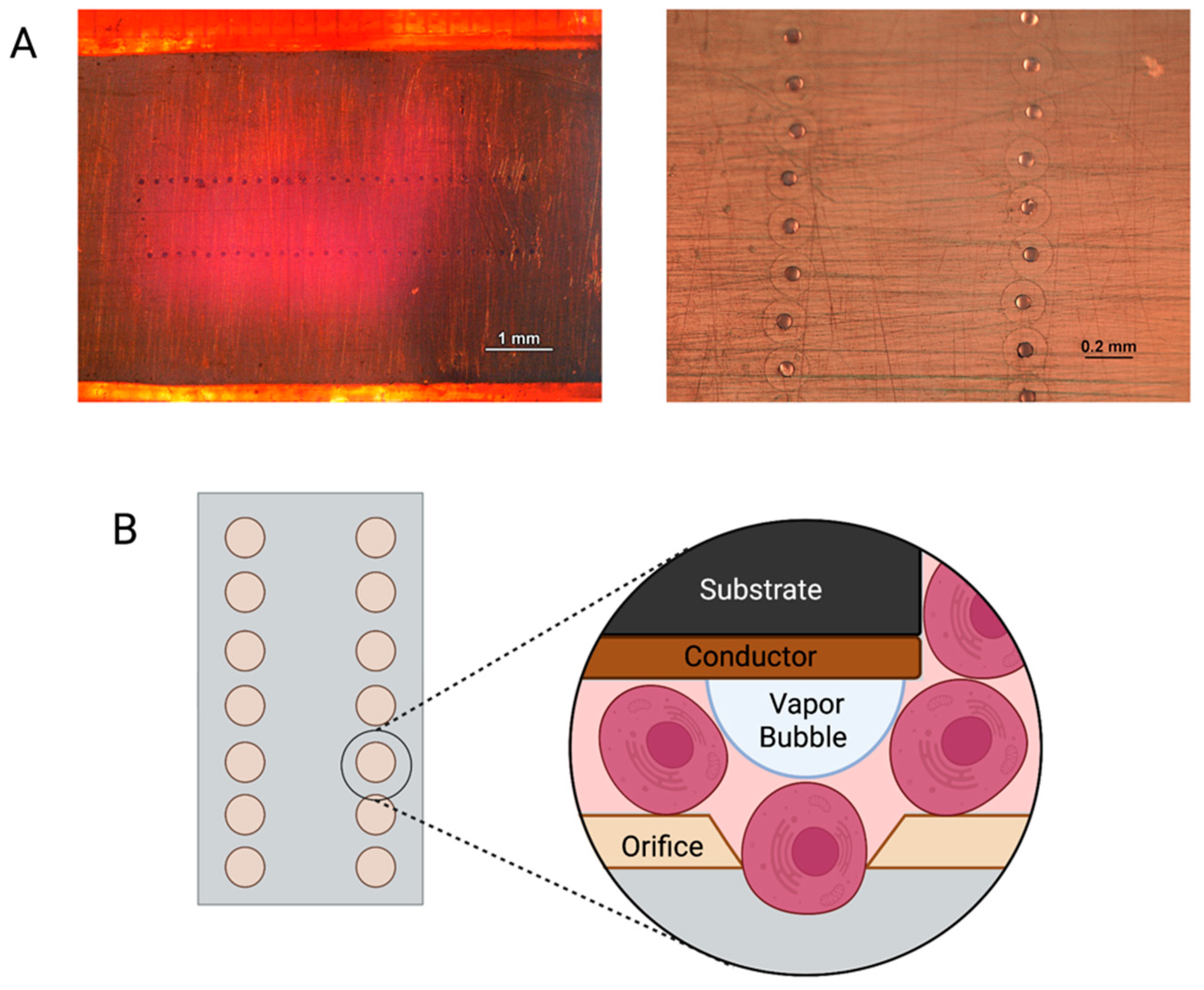 Materials 15 04468 g005