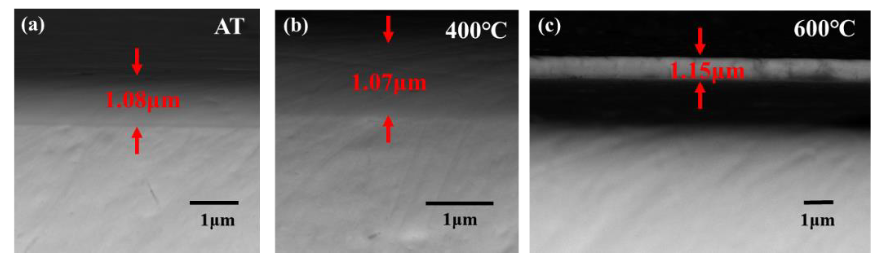 Materials 15 04489 g007 550