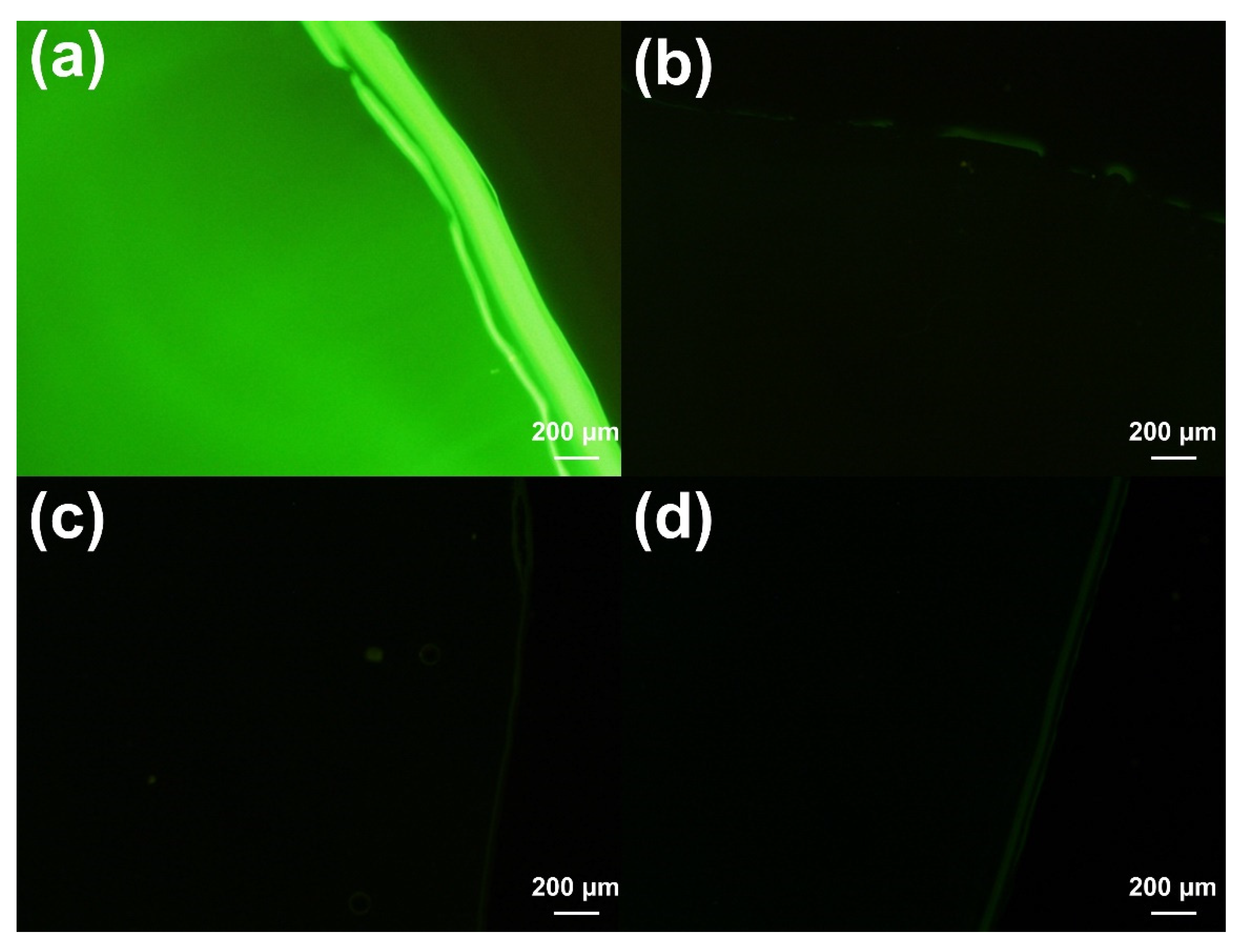 Materials 15 04498 g003