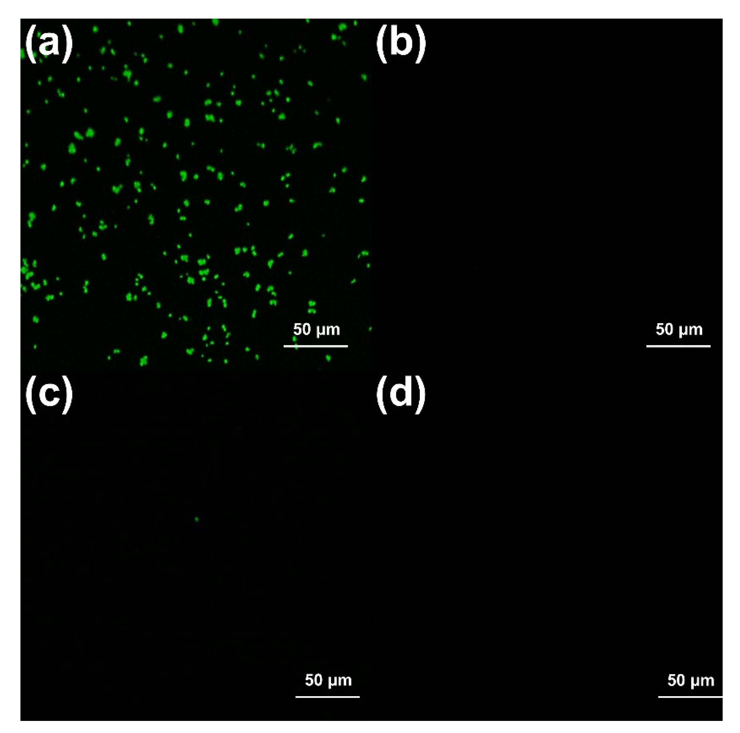Materials 15 04498 g005