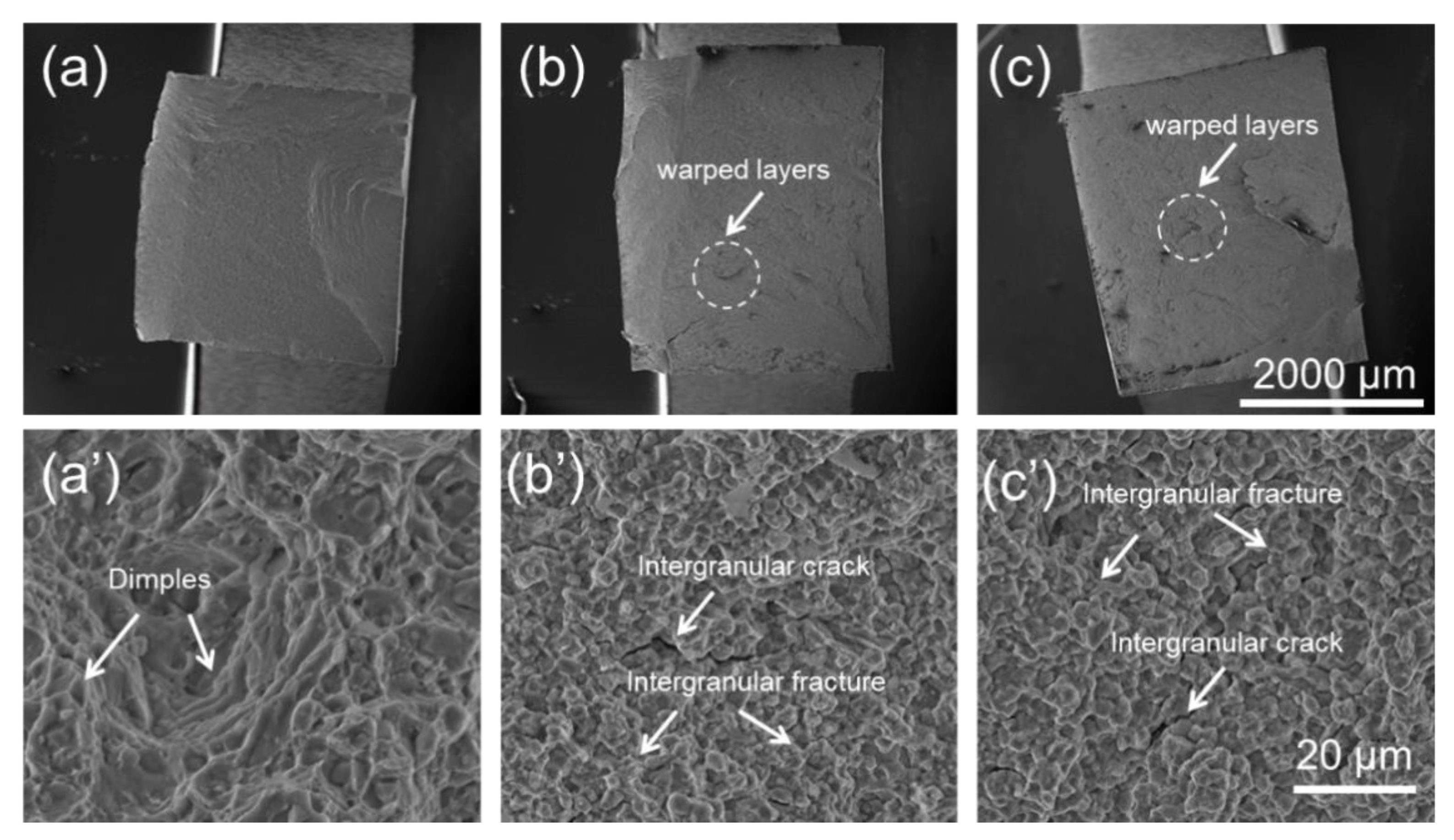Materials 15 04524 g010 550