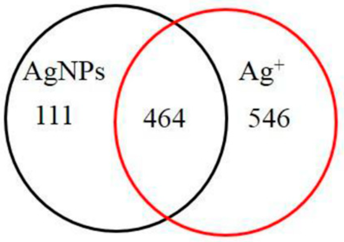 Materials 15 04539 g011 550