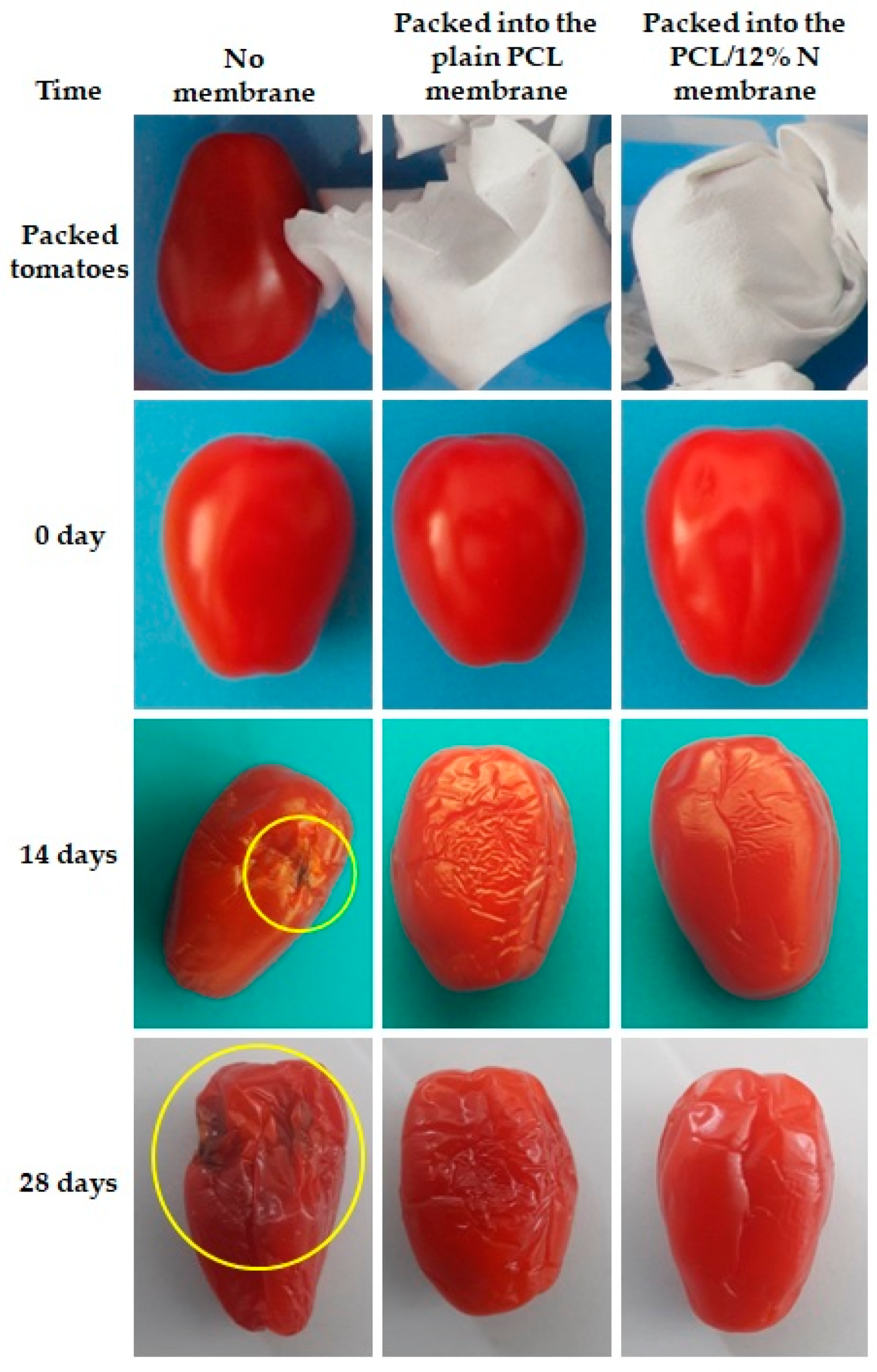 Materials 15 04540 g008 550
