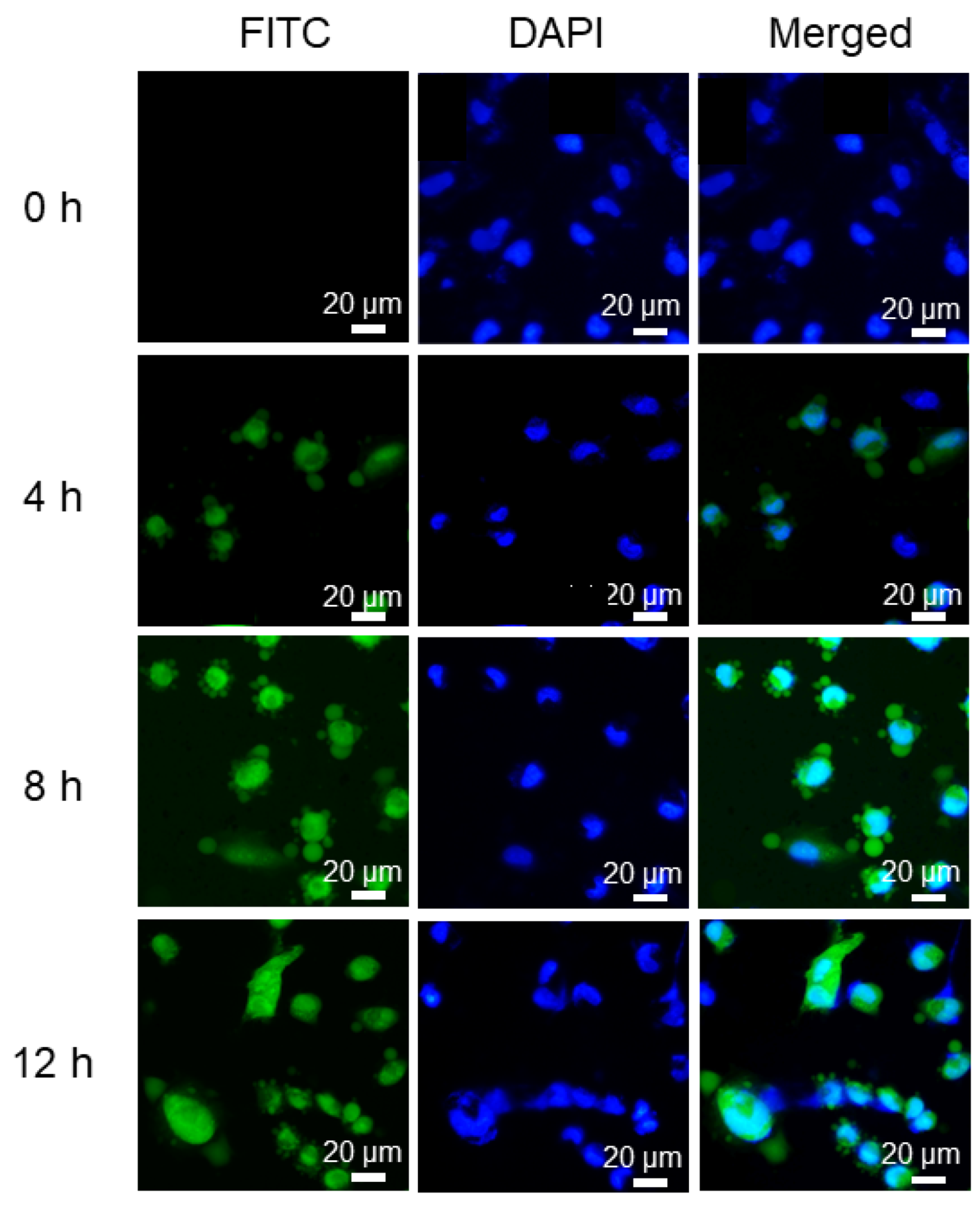 Materials 15 04543 g006