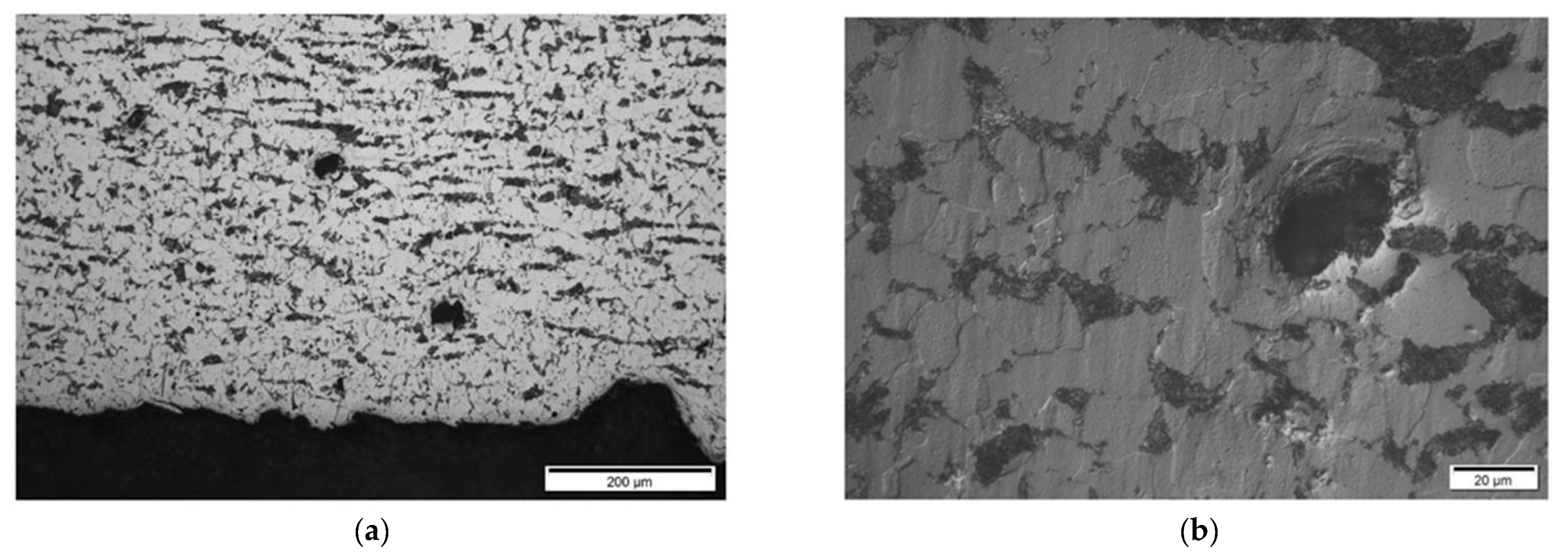 Materials 15 04551 g021 550