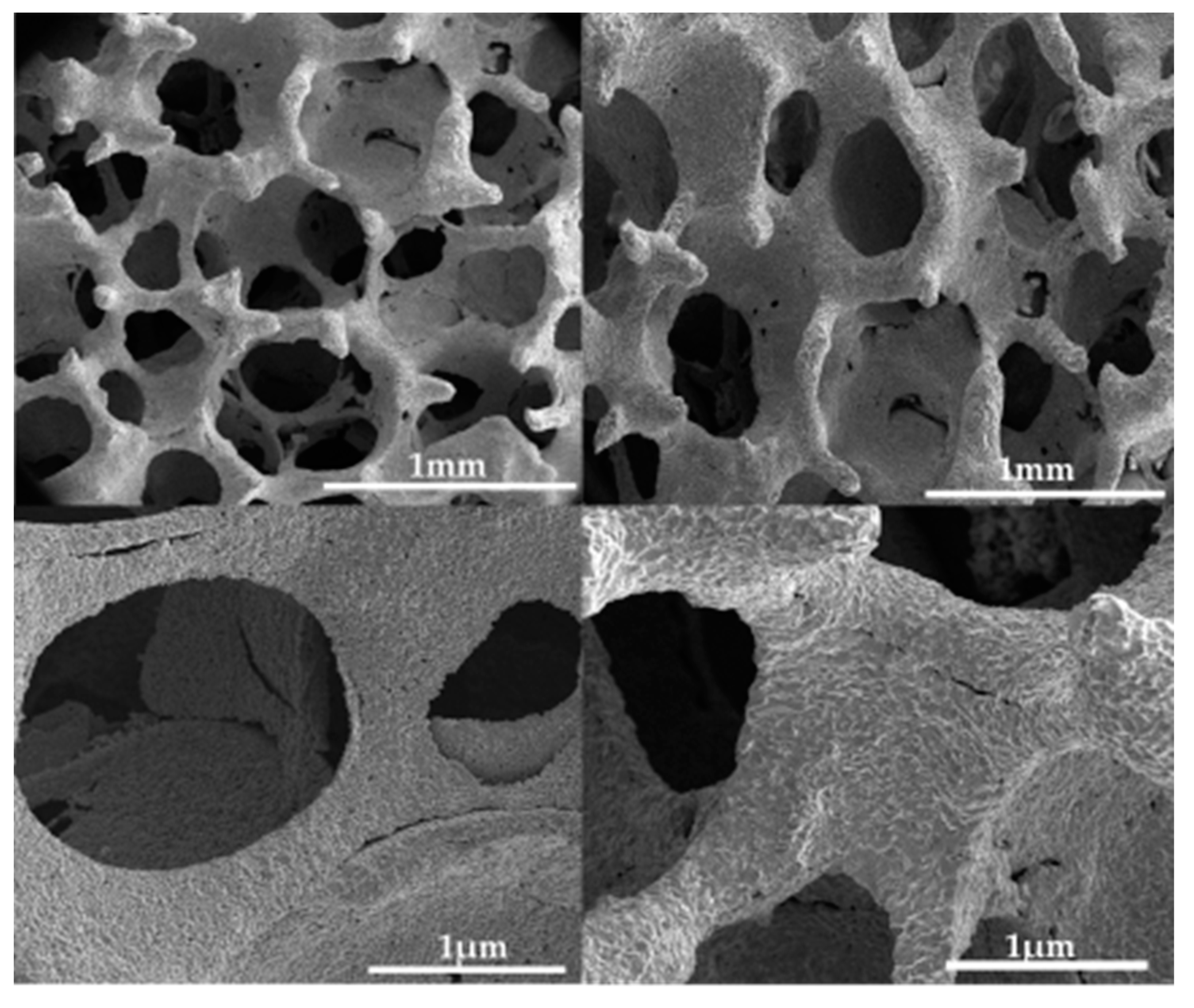 Materials 15 04552 g002