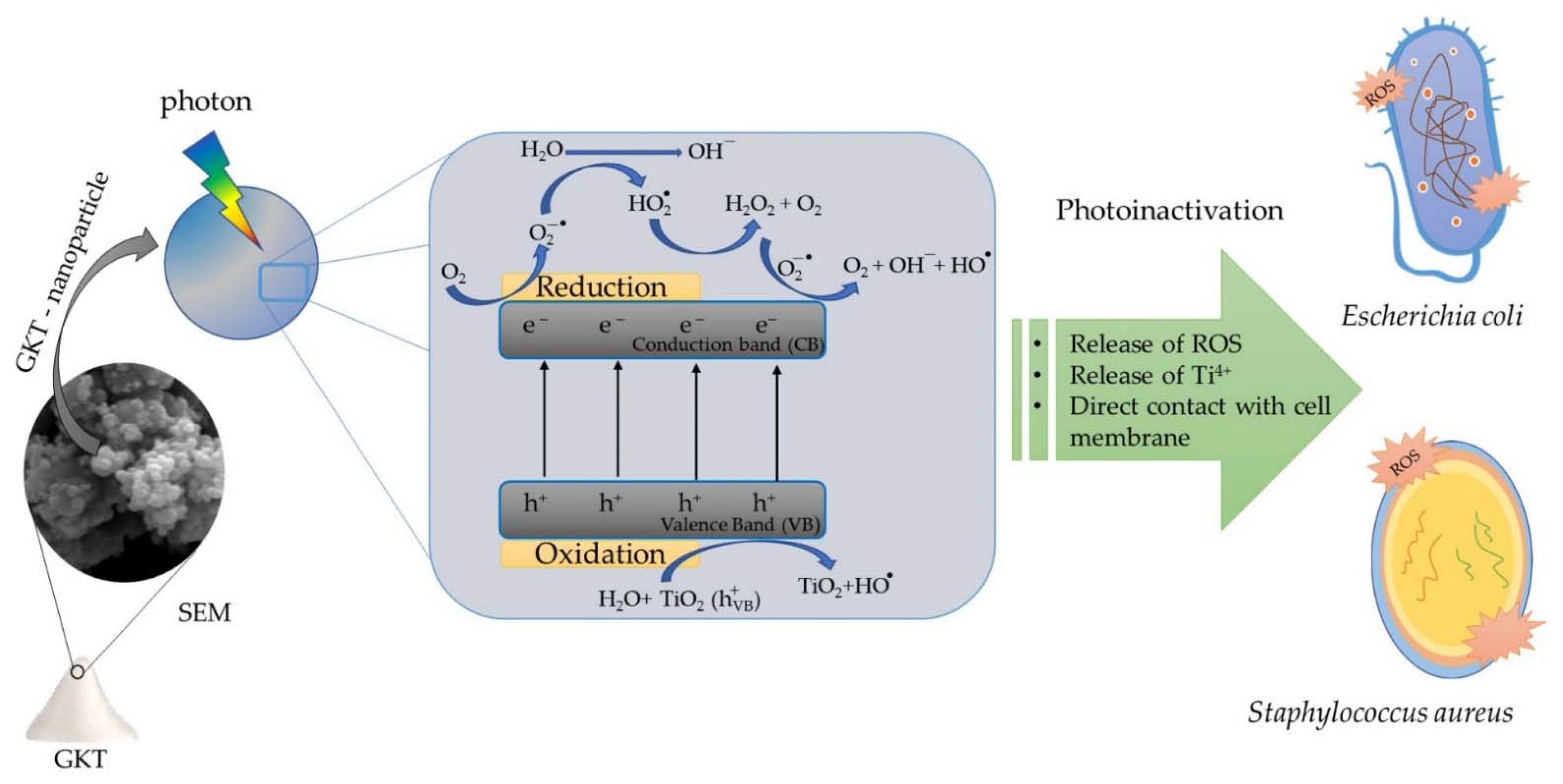 Materials 15 04559 g007