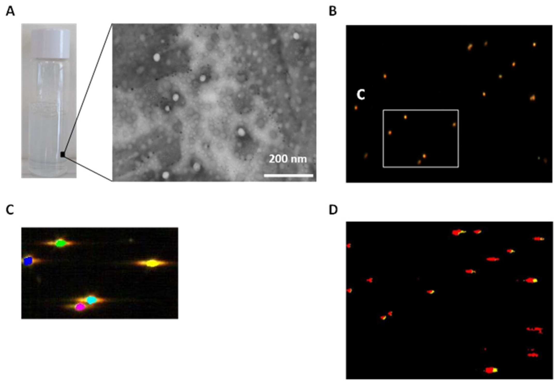 Materials 15 04572 g001 550