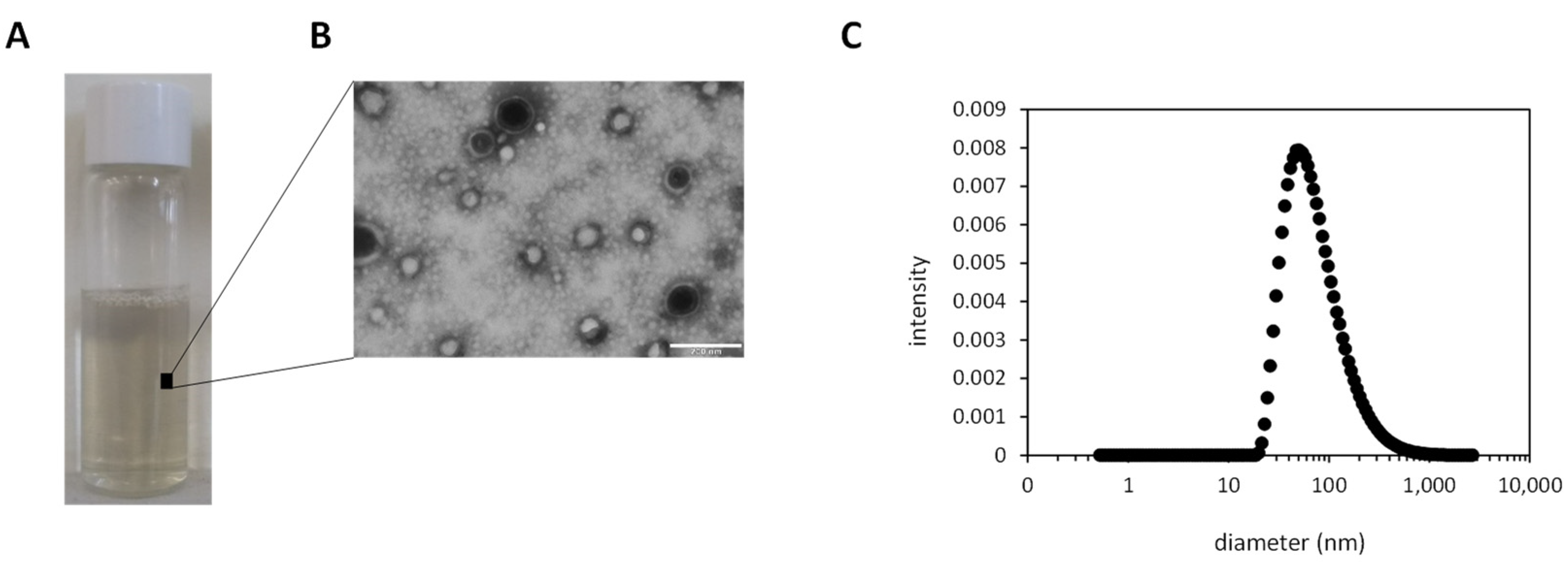 Materials 15 04572 g003 550
