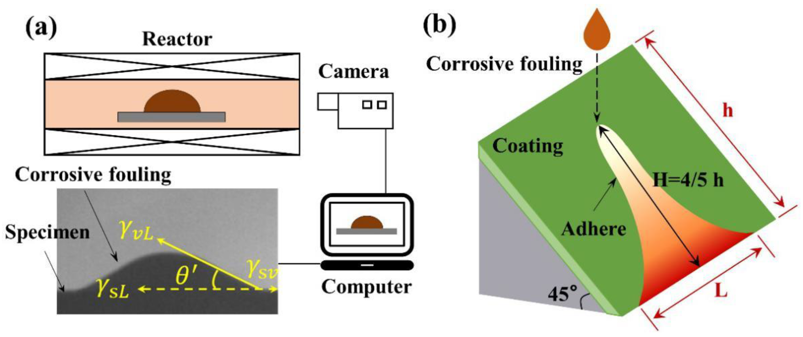 Materials 15 04574 g001 550