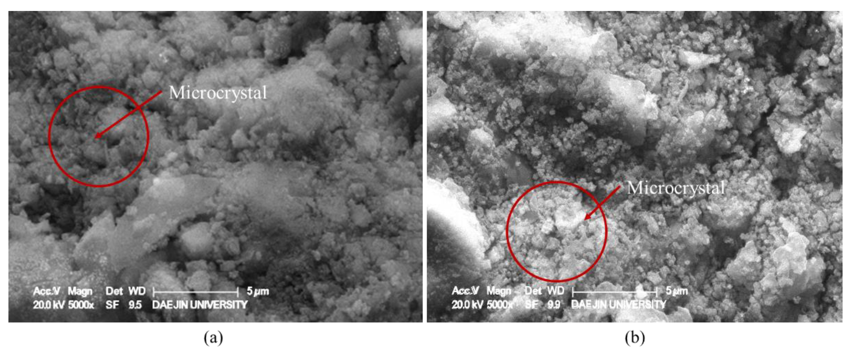 Materials 15 04581 g019