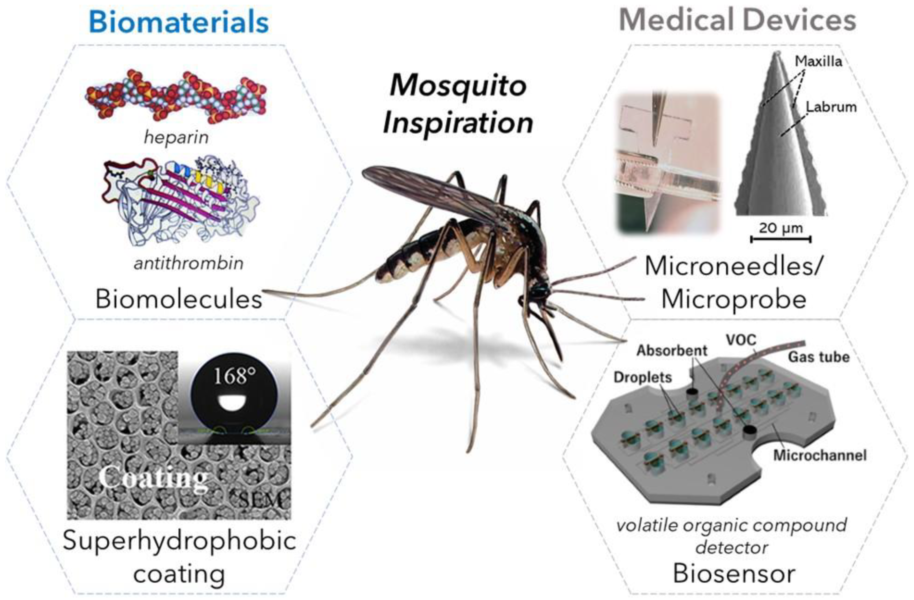 KOBWA Mosquito Bite Reliever éliminent Rapidement des Démangeaisons sans Drogues Produits Chimiques Dispositif Antiprurigineux Sûr de Cristal Naturel de Quartz 