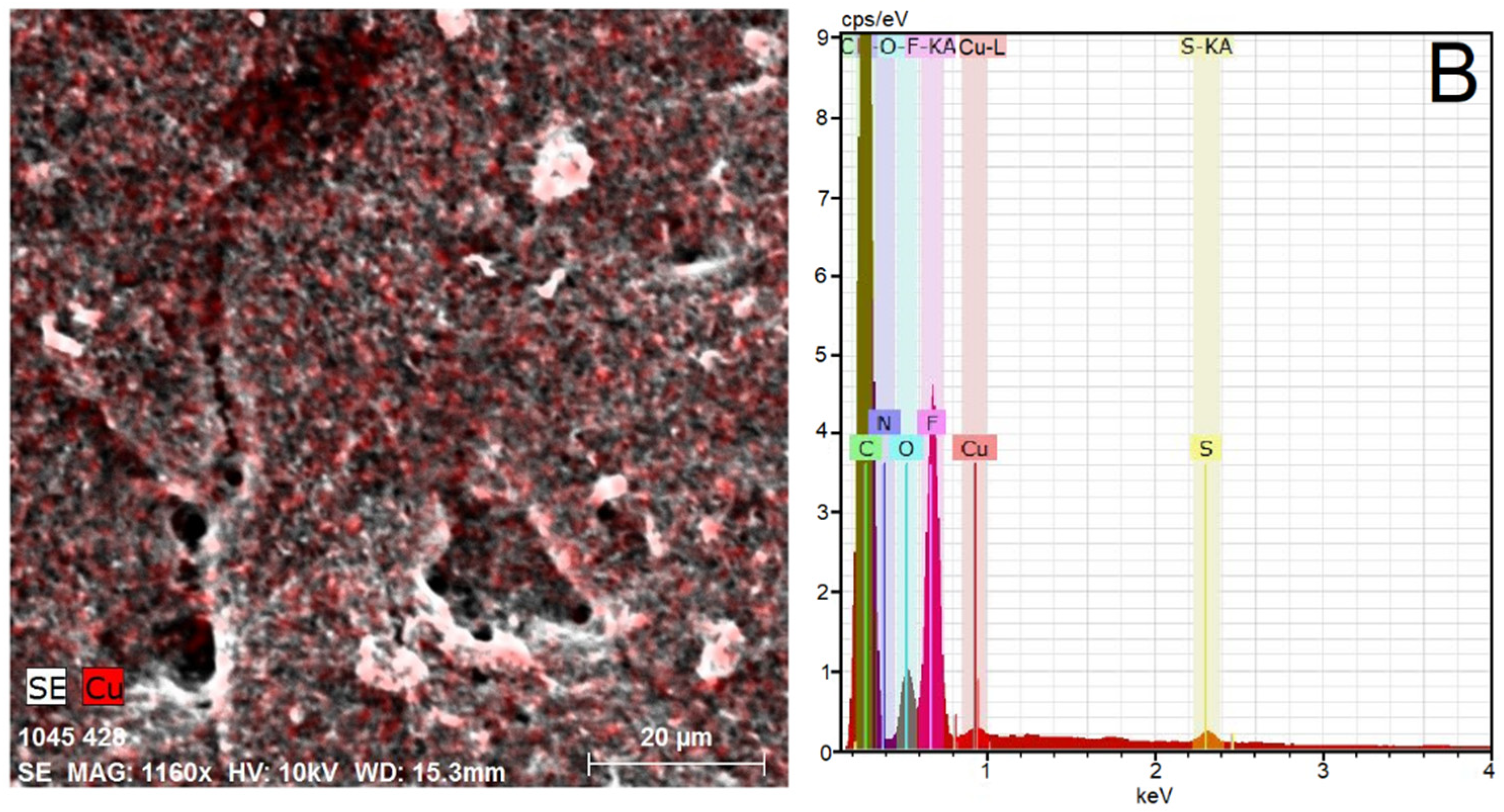 Materials 15 04595 g002 550