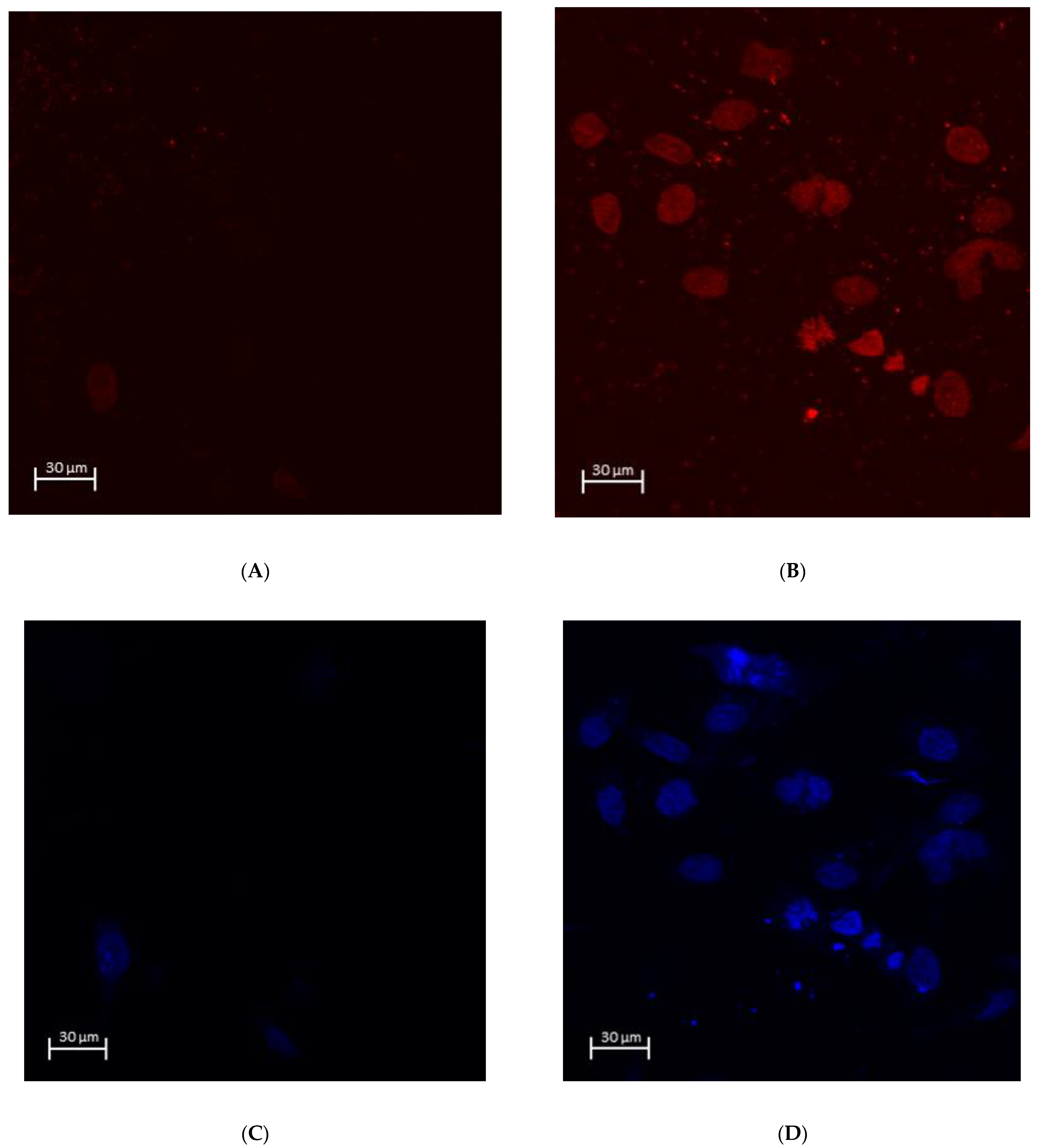 Materials 15 04597 g006a Materials 15 04597 g006a
