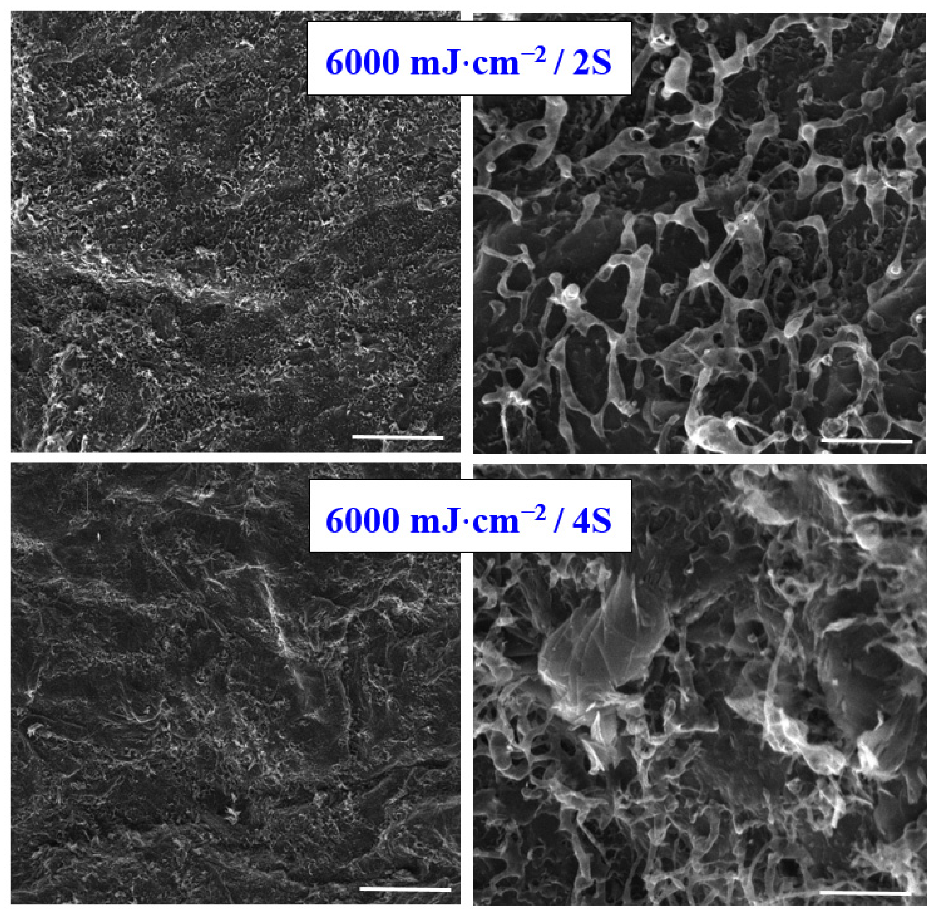 Materials 15 04614 g005 Materials 15 04614 g005