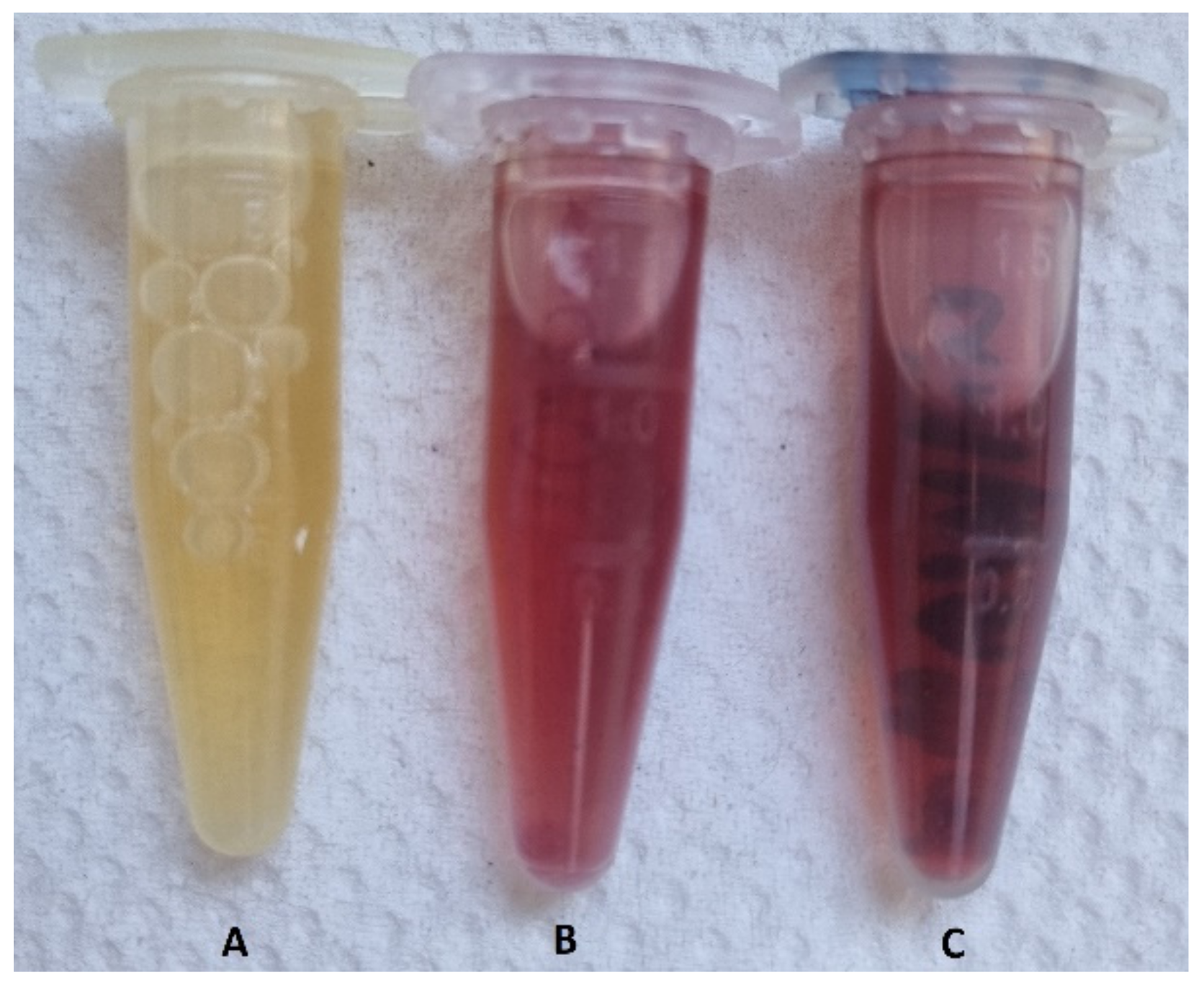 Materials 15 04615 g001 550