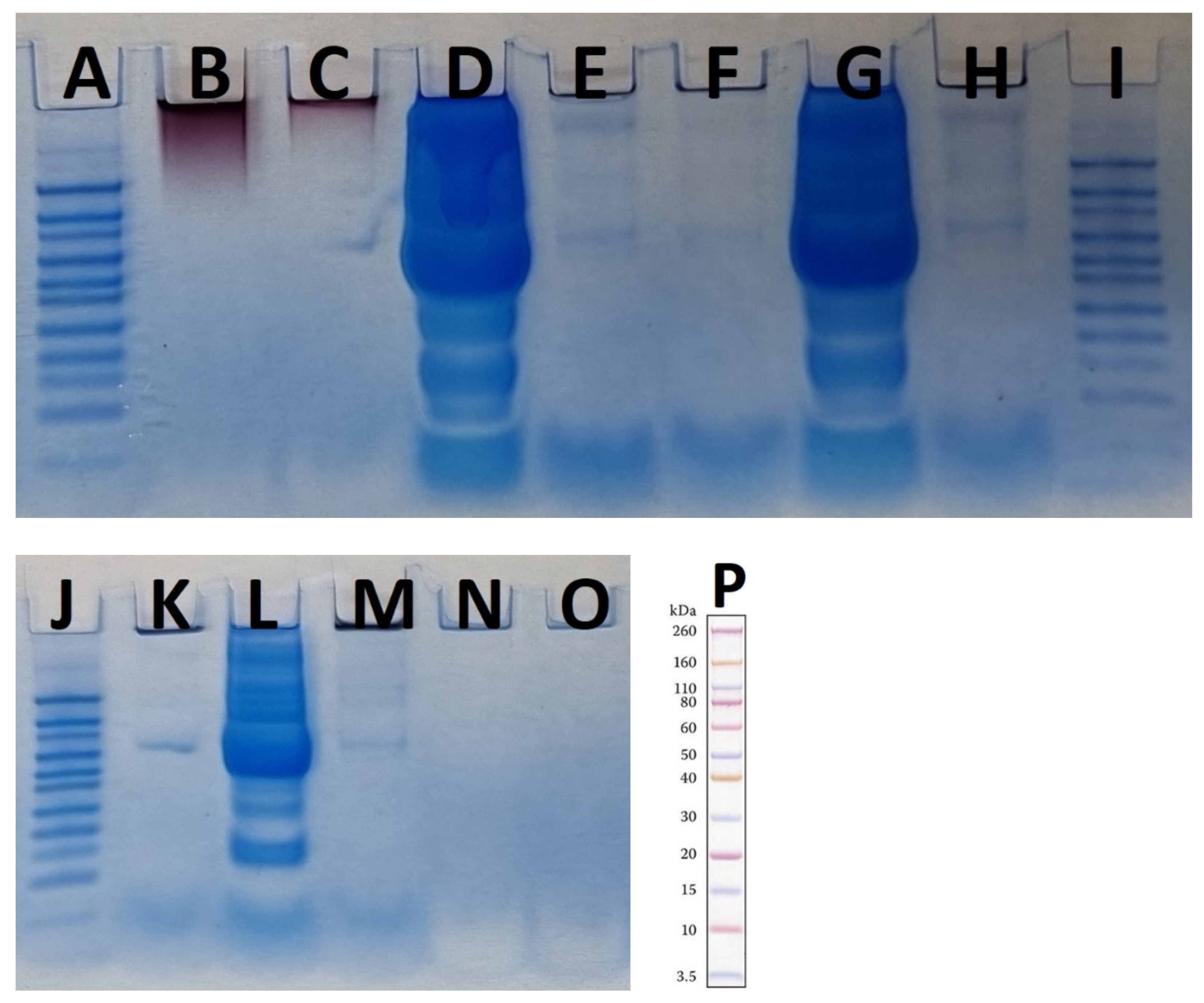 Materials 15 04615 g008 550