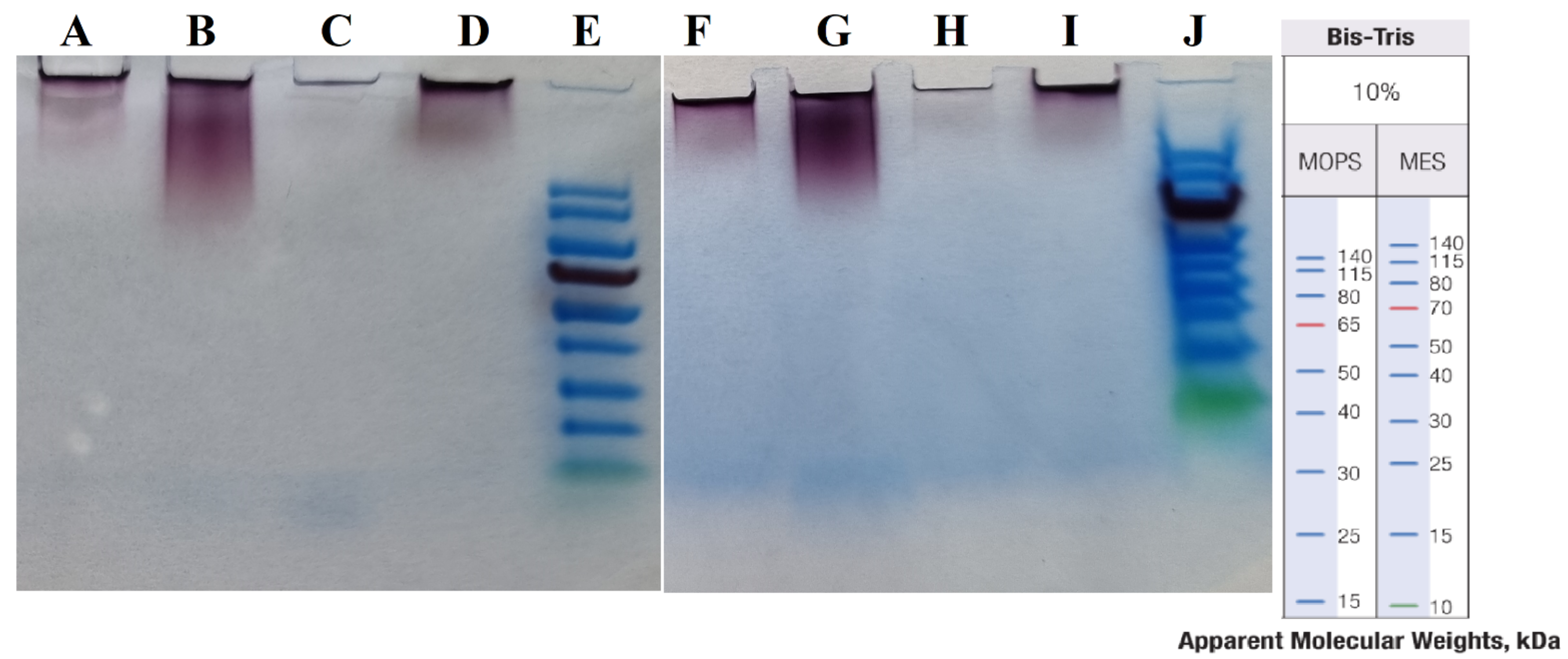 Materials 15 04615 g009 550