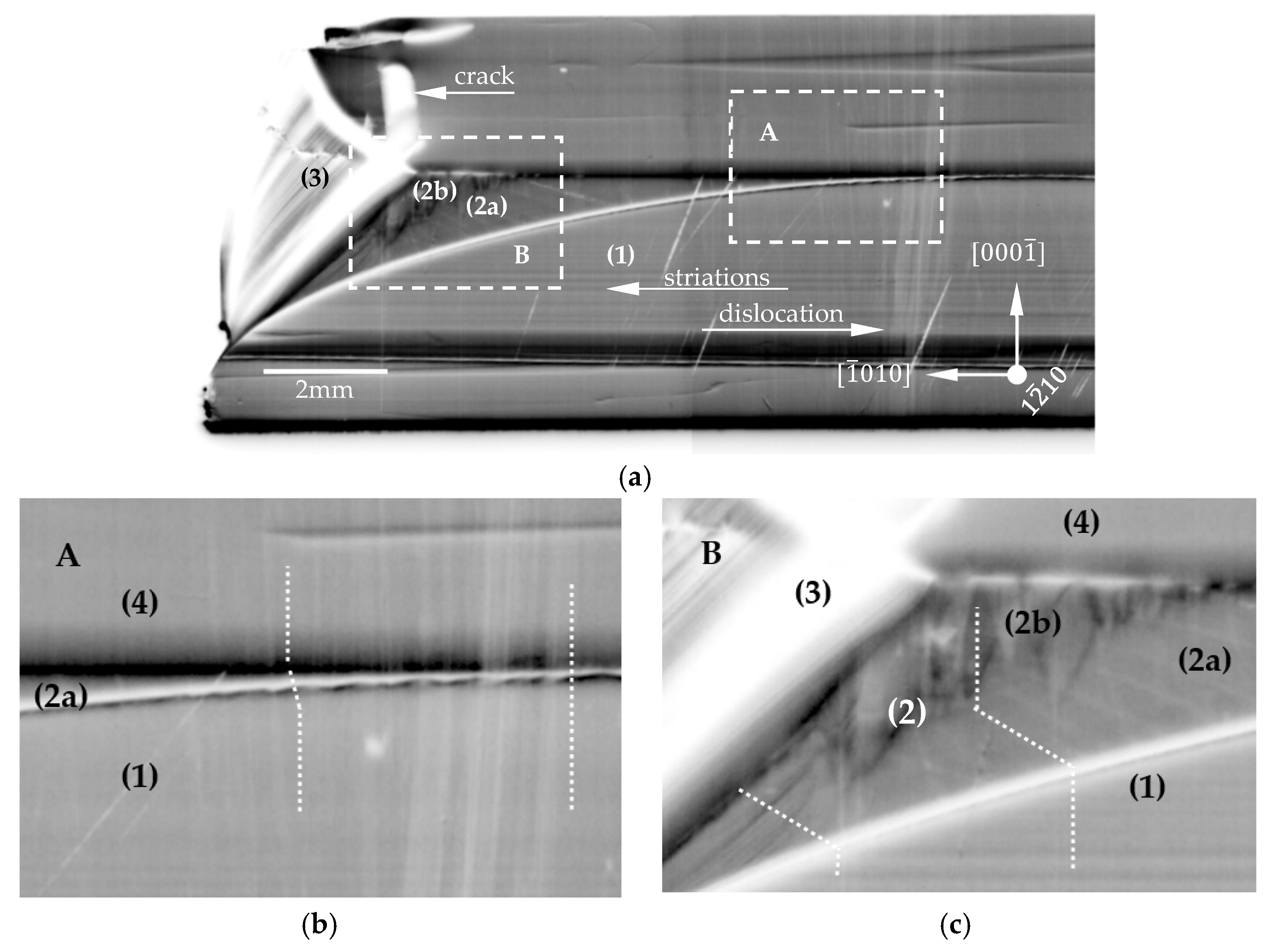 Materials 15 04621 g006 550