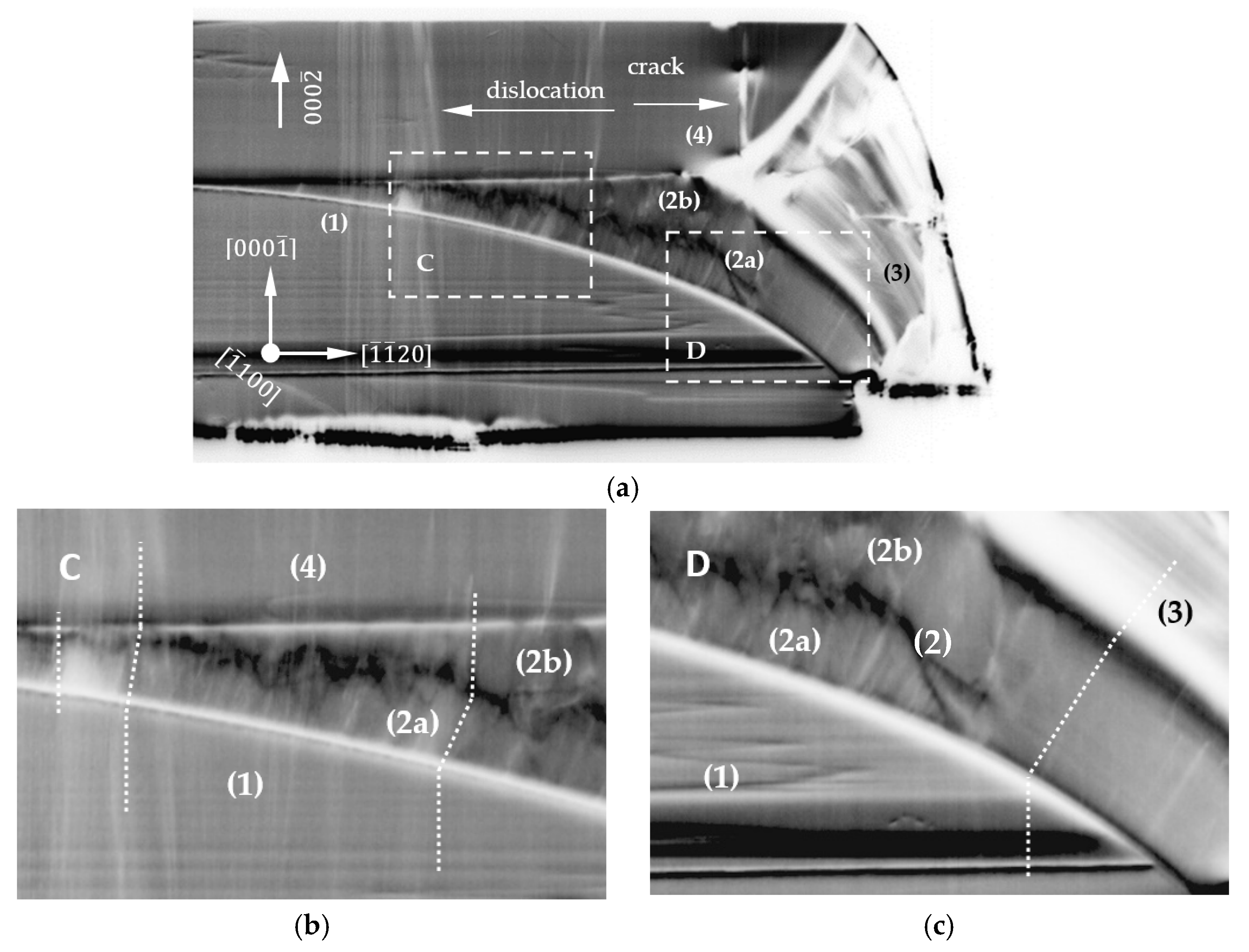 Materials 15 04621 g007 550