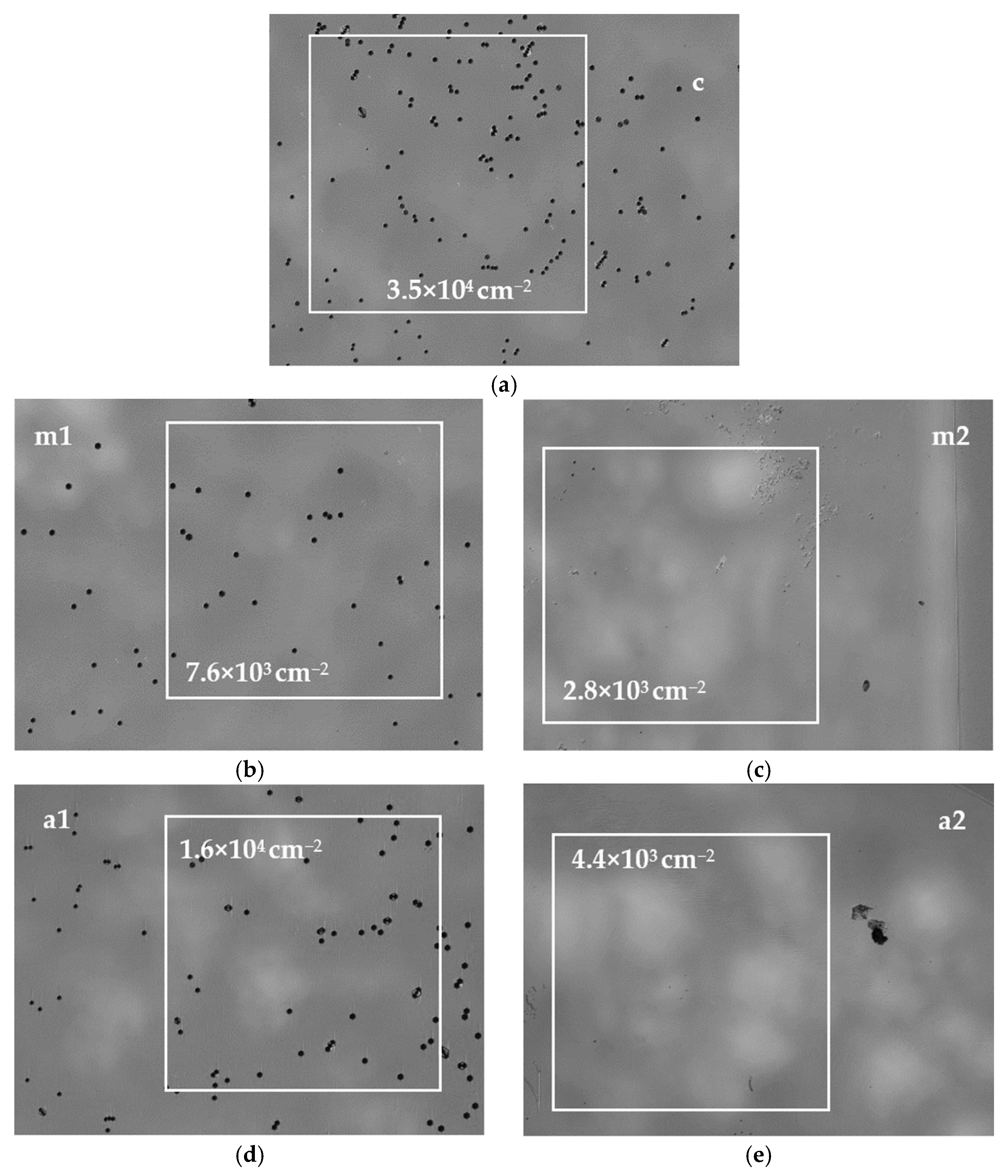 Materials 15 04621 g010 550