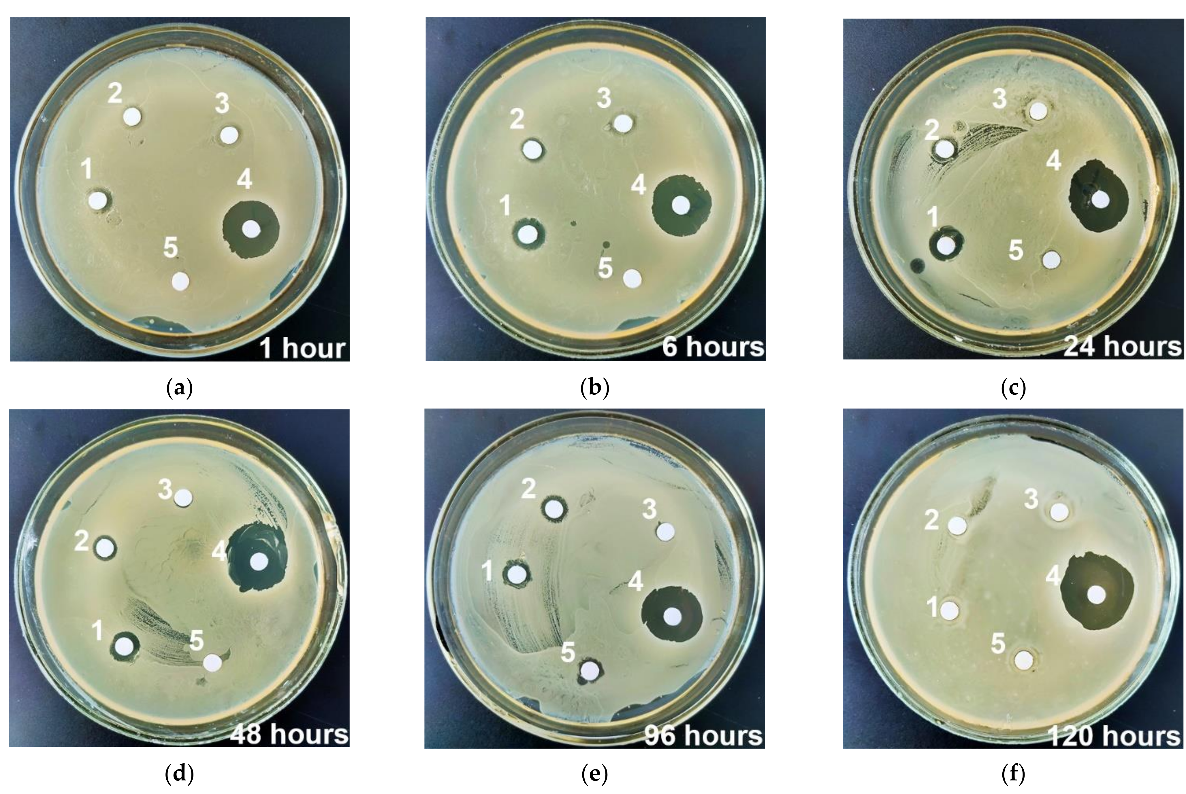 Materials 15 04643 g012 Materials 15 04643 g012