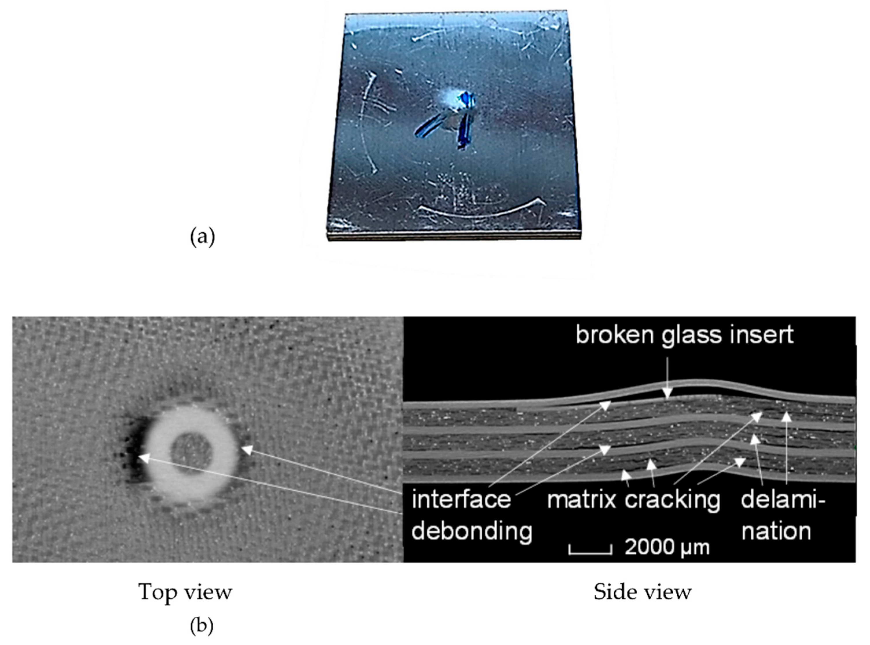 Materials 15 04645 g005