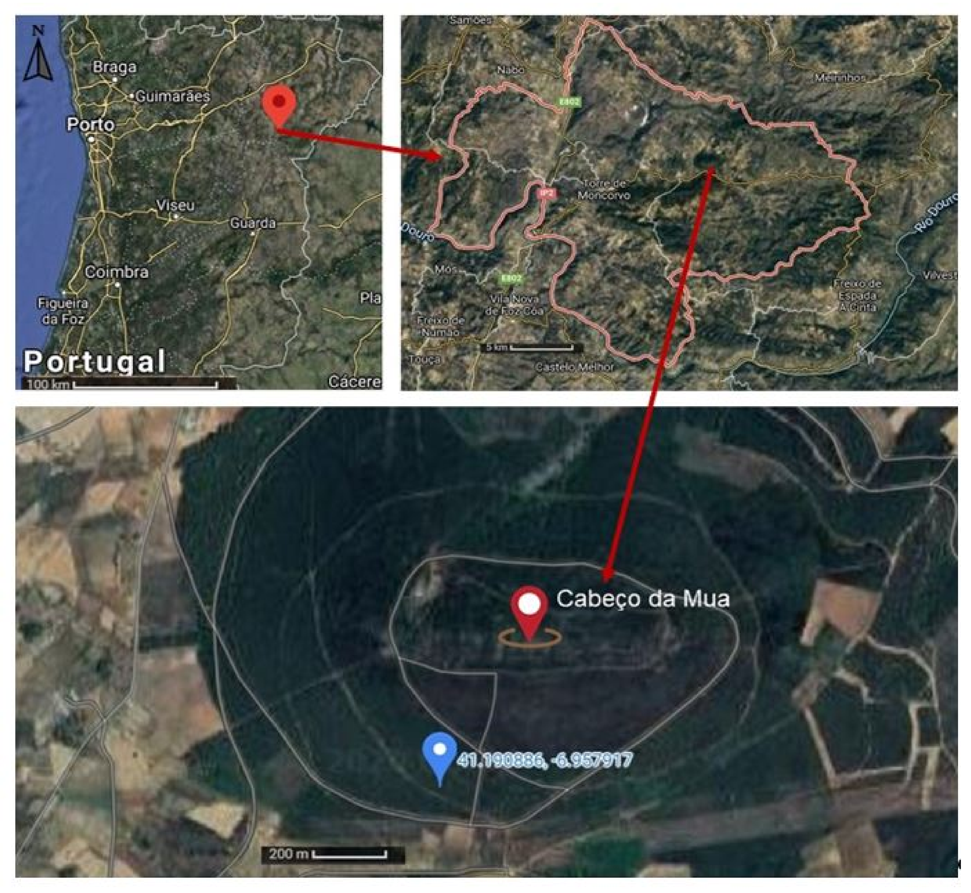 Materials 15 04648 g001 550