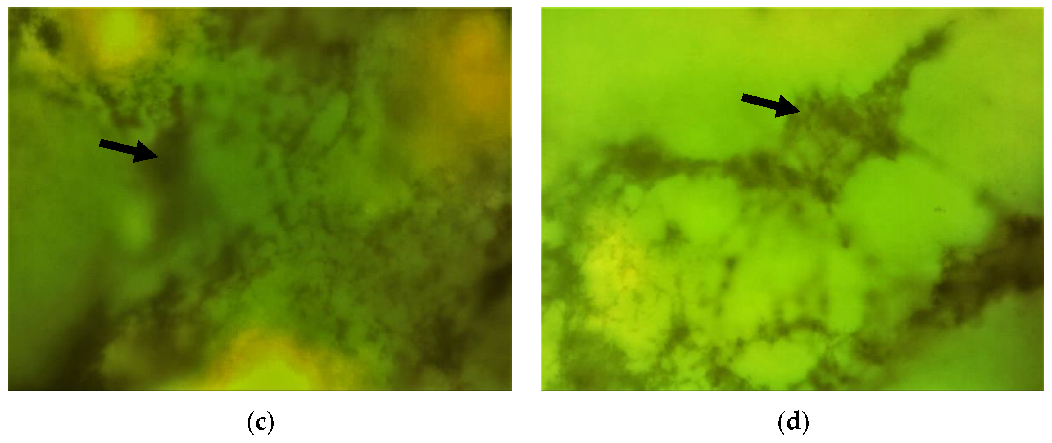 Materials 15 04652 g004b