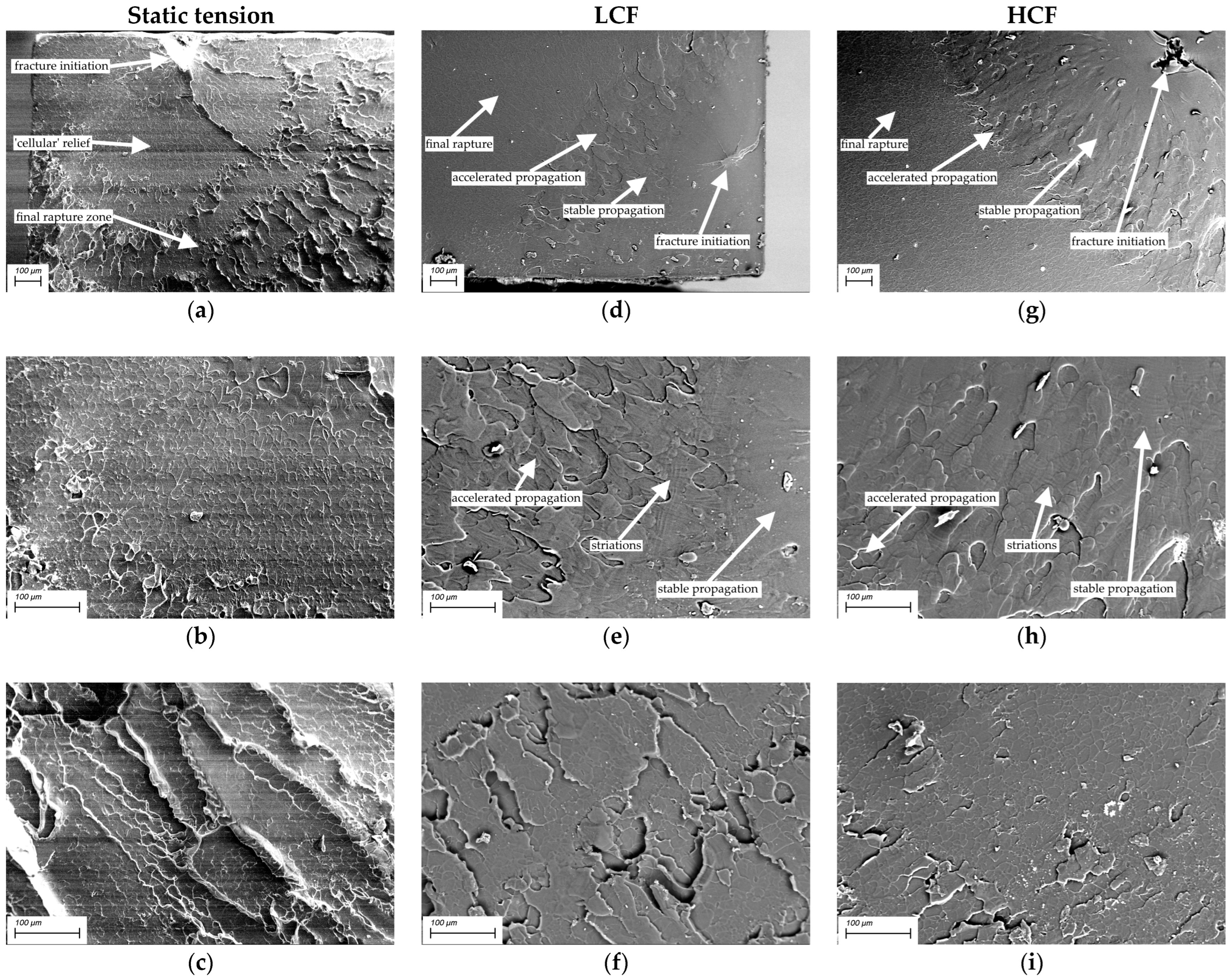 Materials 15 04656 g008 550