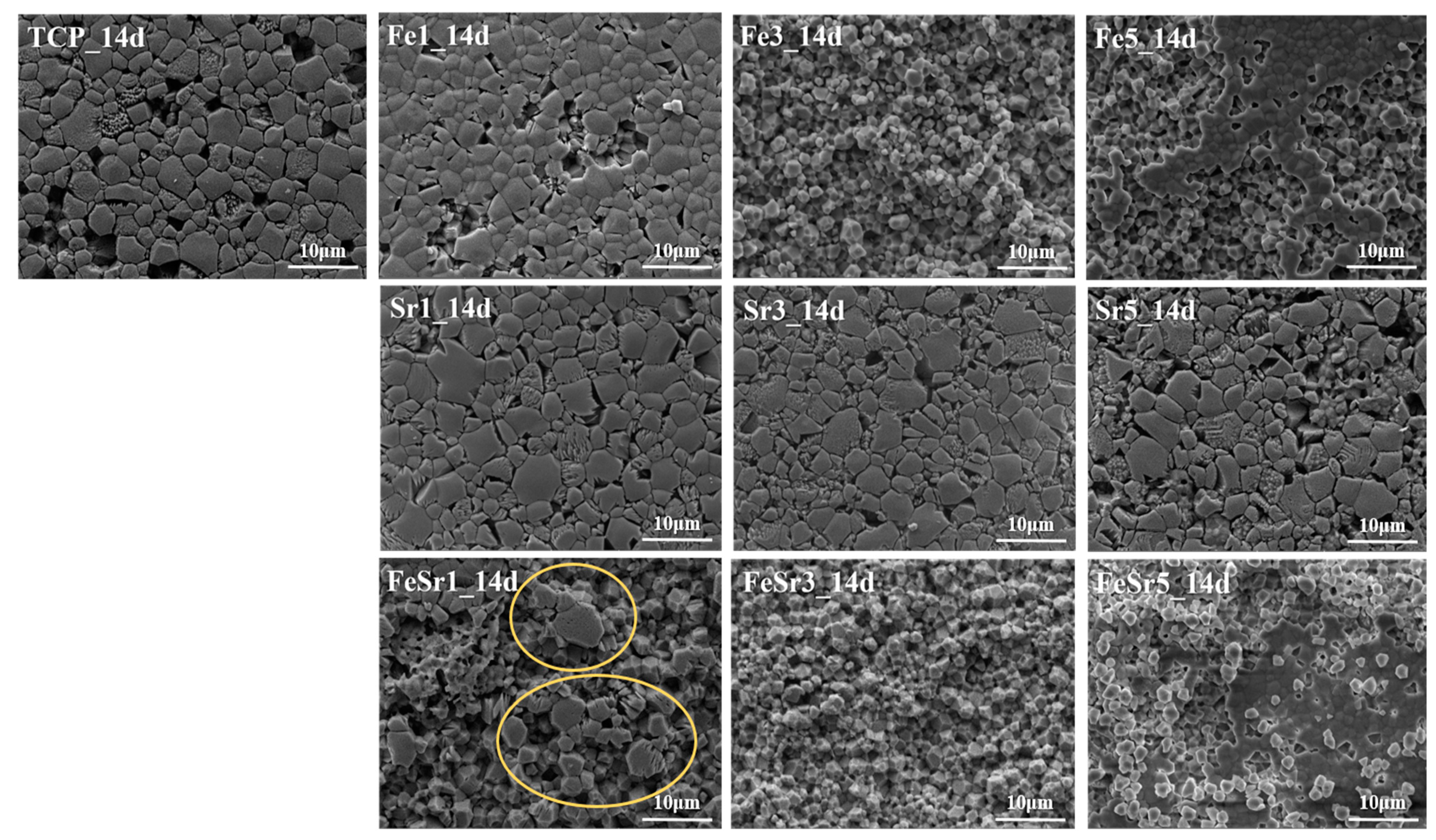 Materials 15 04702 g012