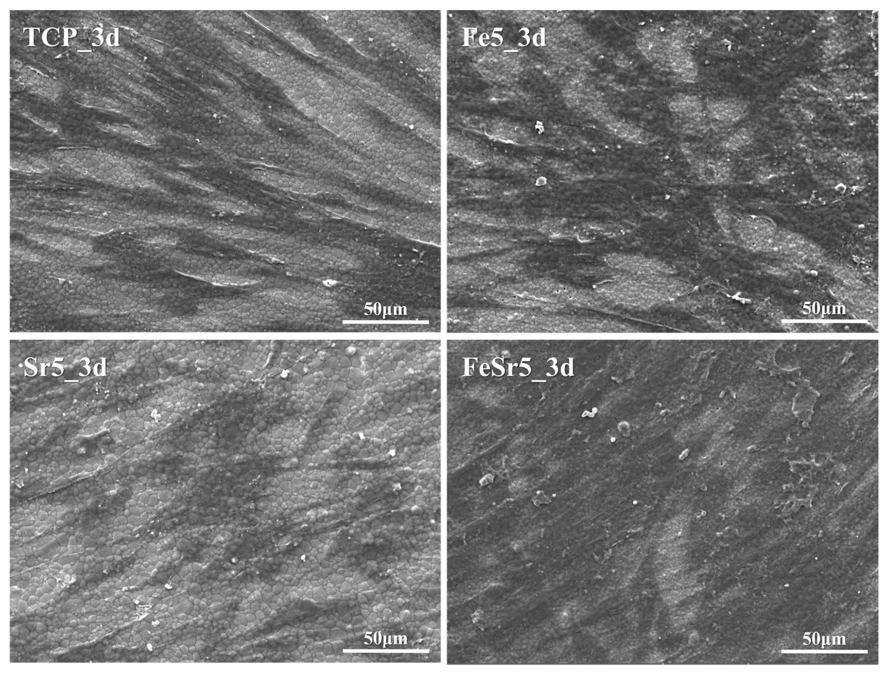 Materials 15 04702 g016