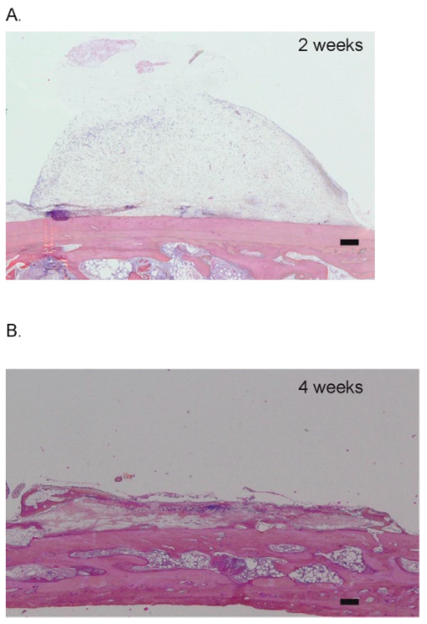 Materials 15 04703 g0a1 550