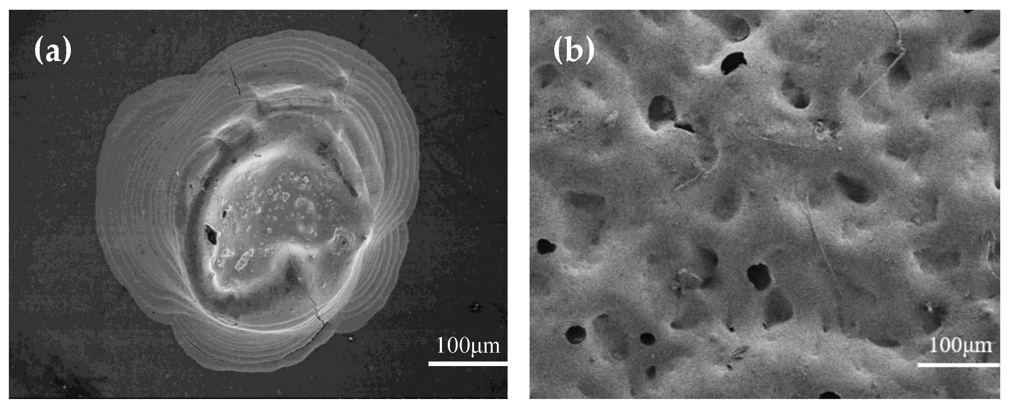 Materials 15 04708 g005 550