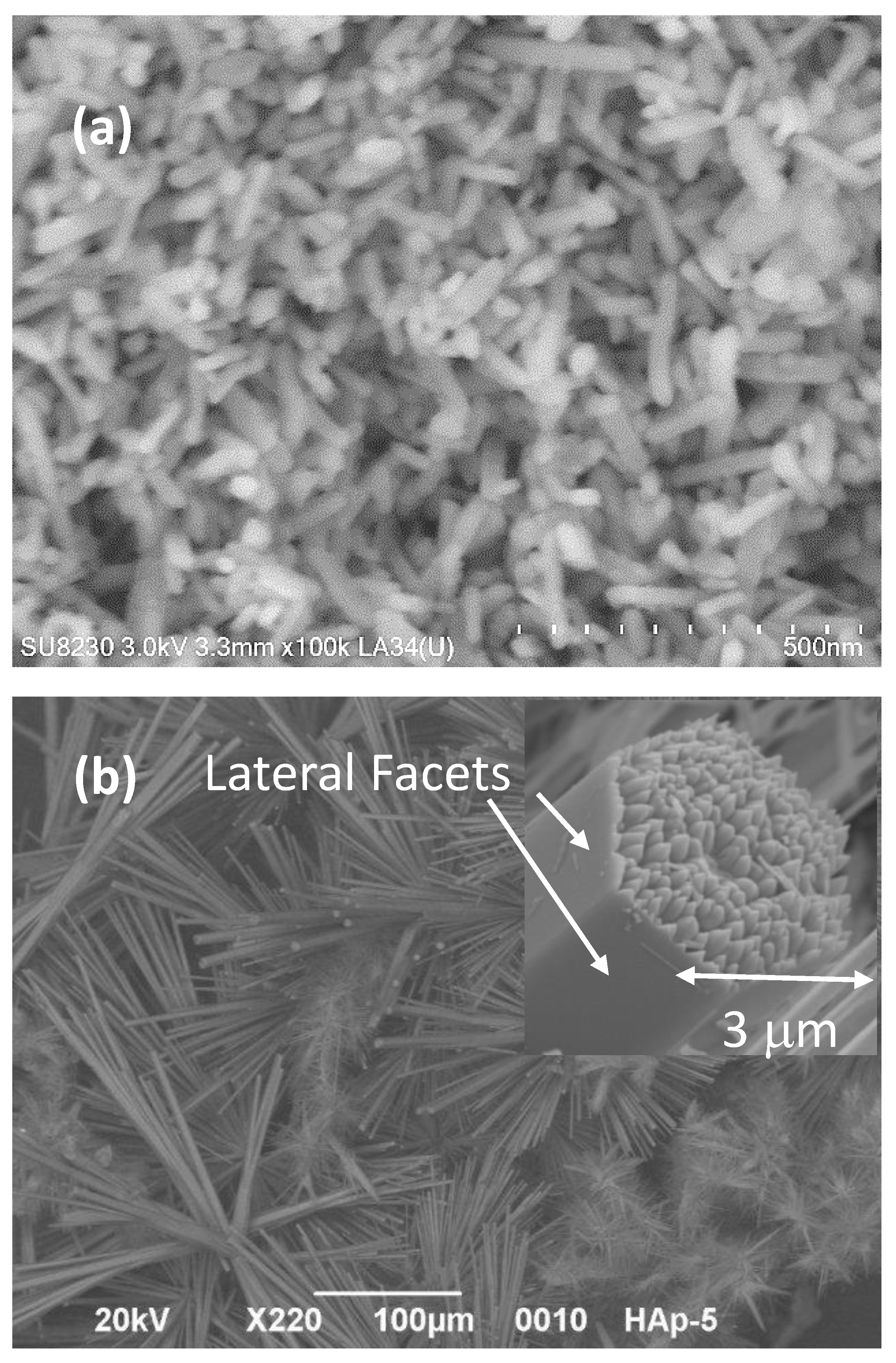 Materials 15 04718 g002