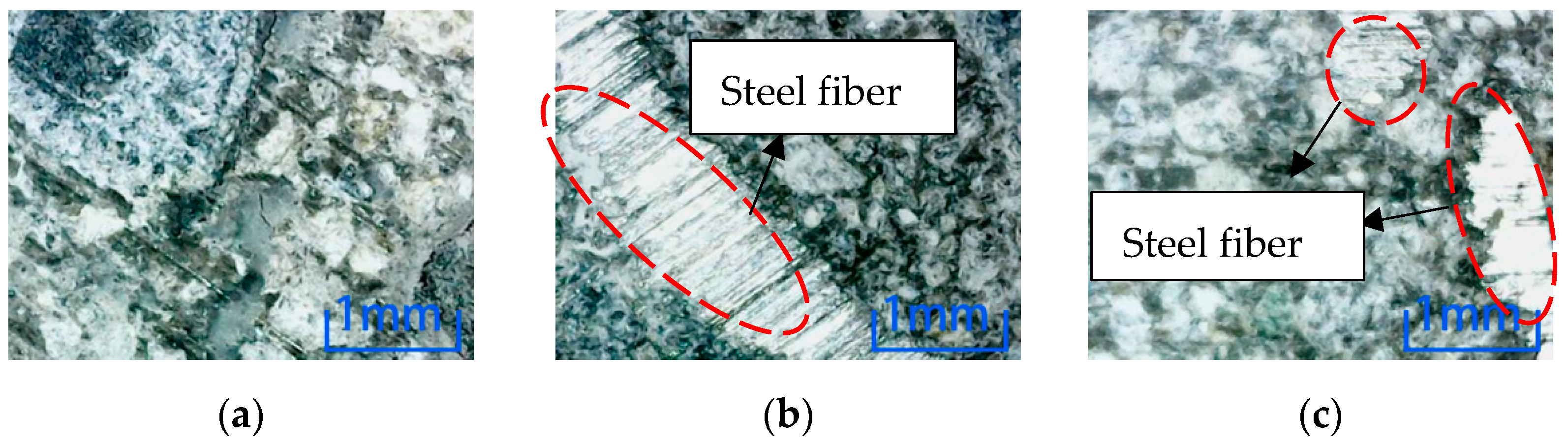 Materials 15 04748 g014 550