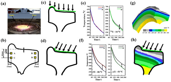 テーブル Quantitative Distribution Characterization and Correlation