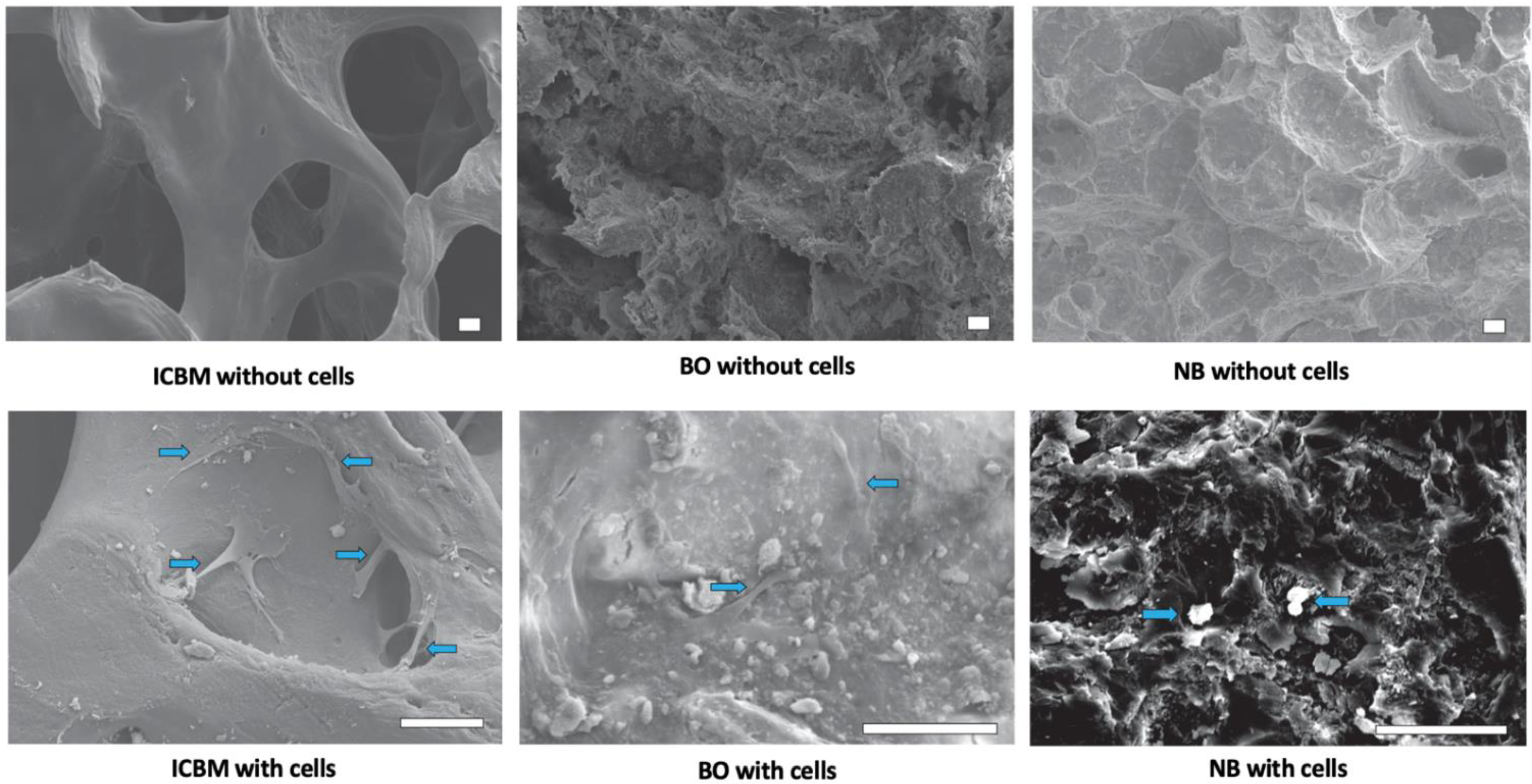 Materials 15 04779 g002