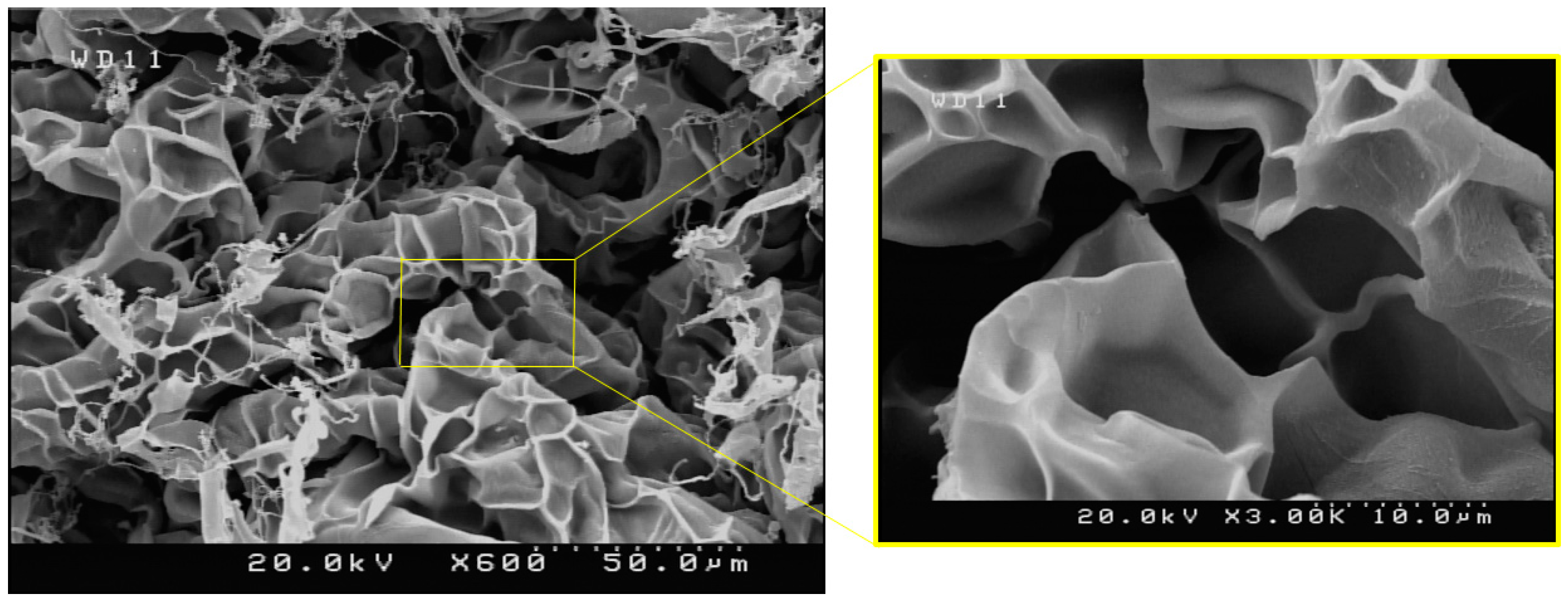 Materials 15 04782 g002