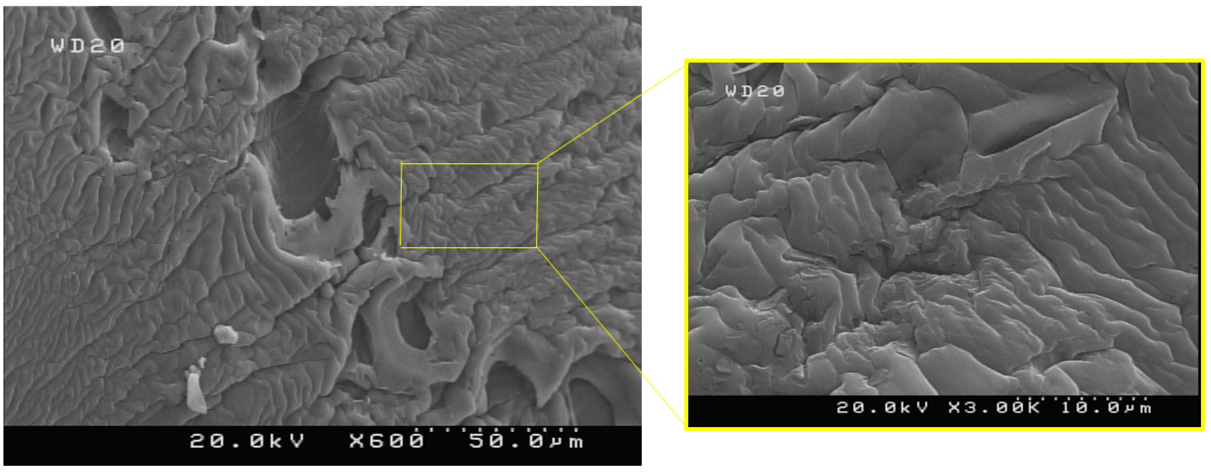 Materials 15 04782 g005