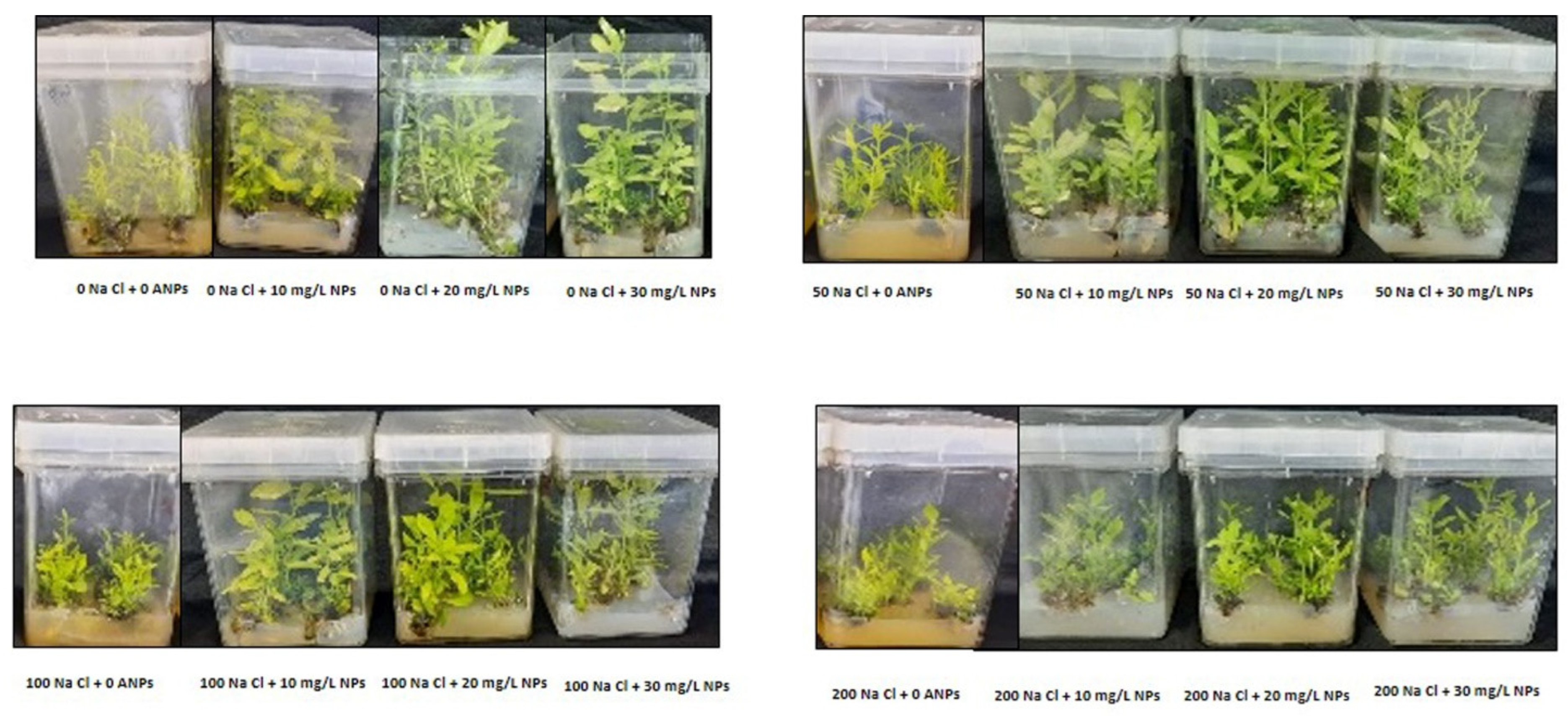 Materials 15 04784 g003