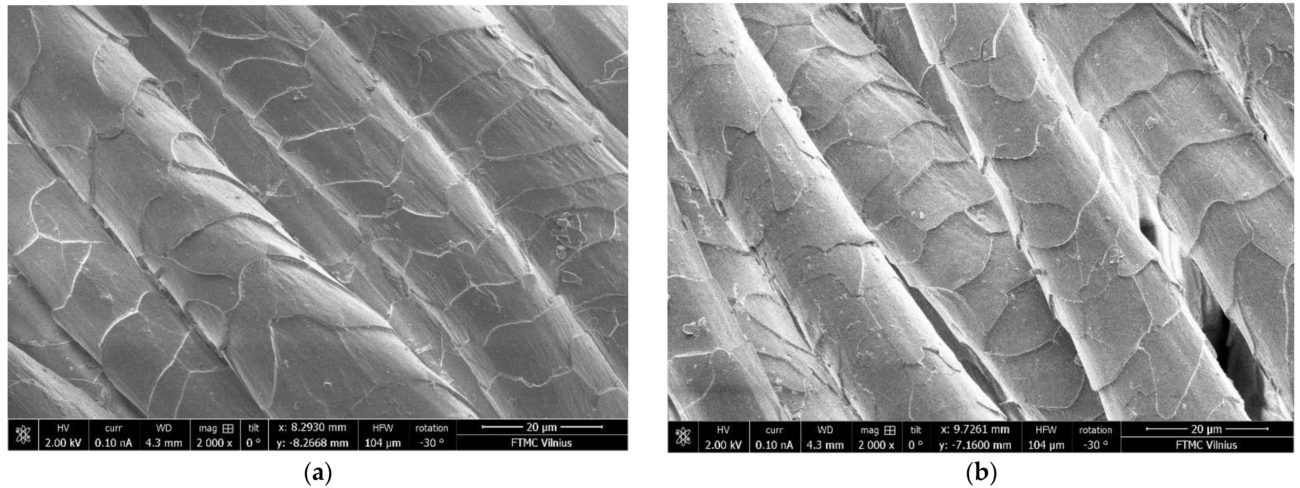 Materials 15 04797 g002